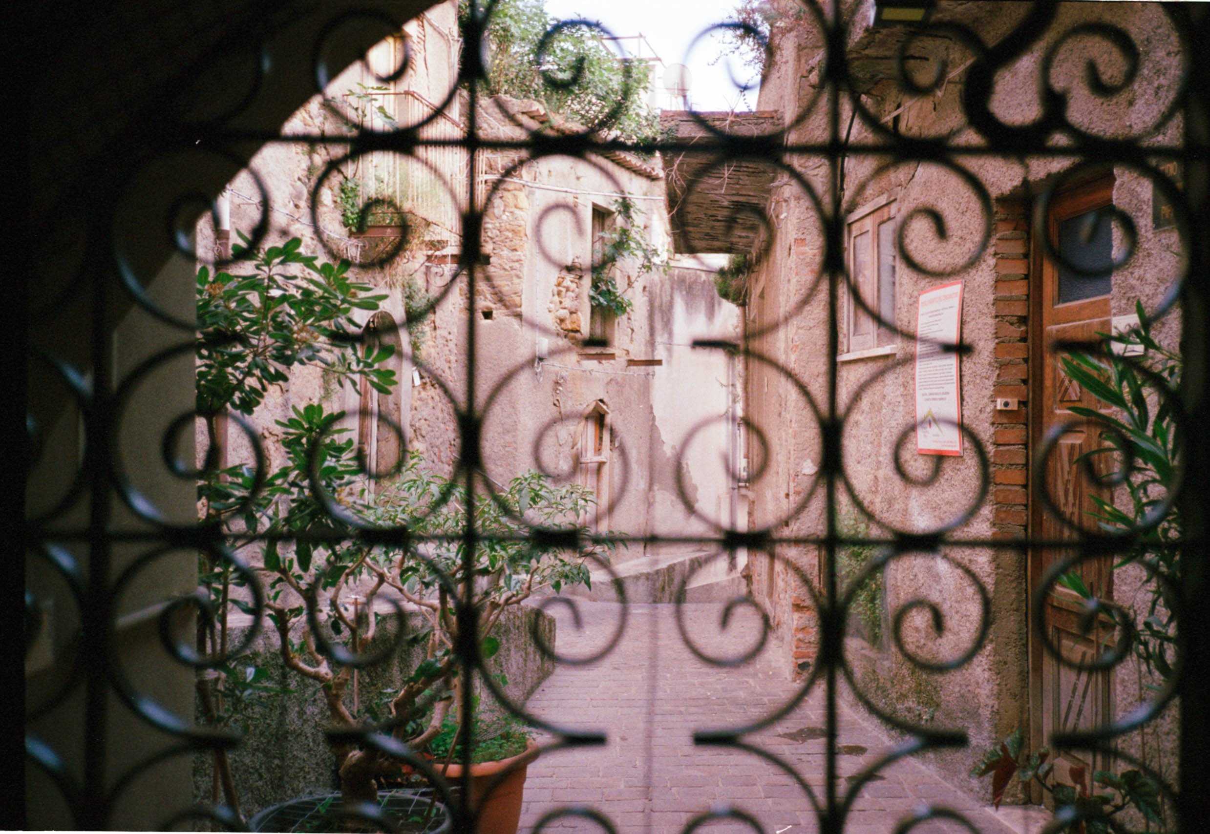 File 16-06-2025 at 19.14.13 20.jpg