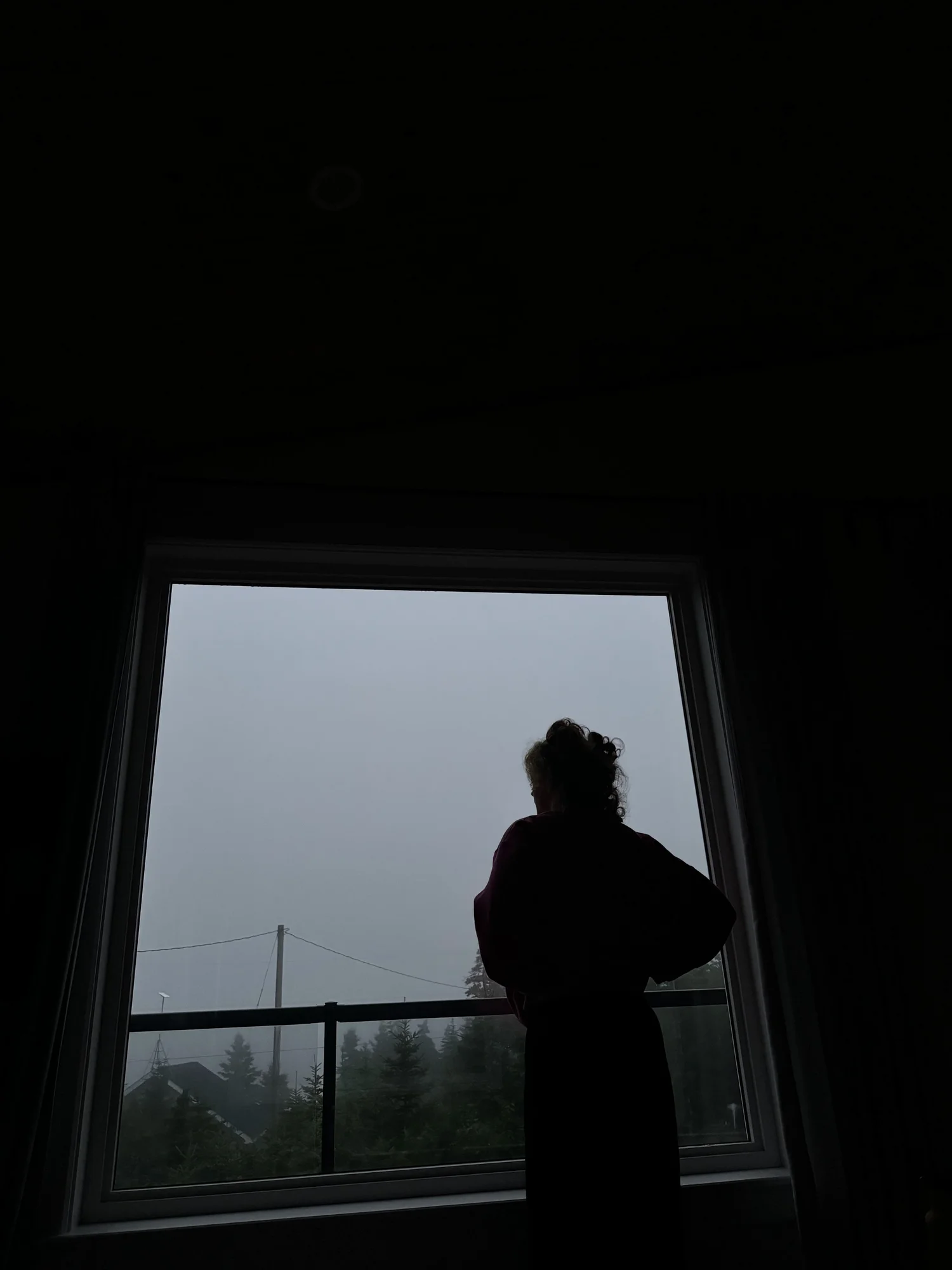 luna by the window