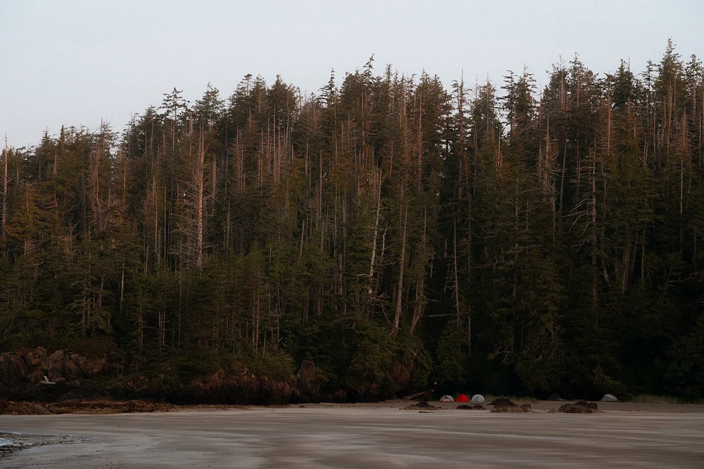 san-josef-vancouver-island-ula-kaniuch-04679.jpg