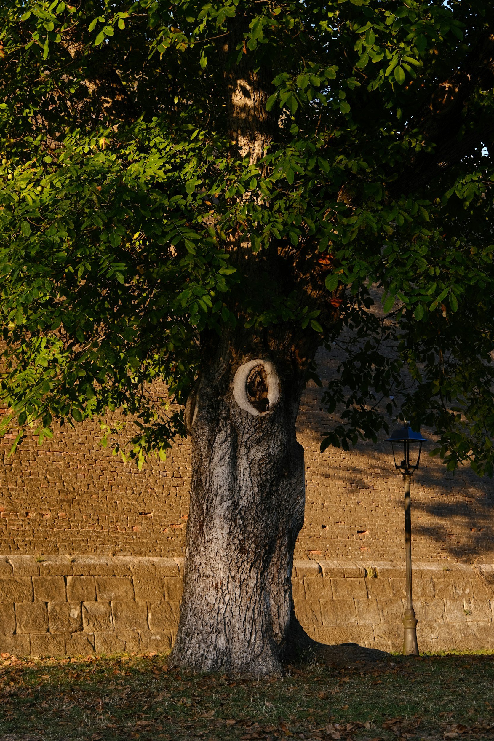 Hollow Idols: What We Worship Instead of Jesus