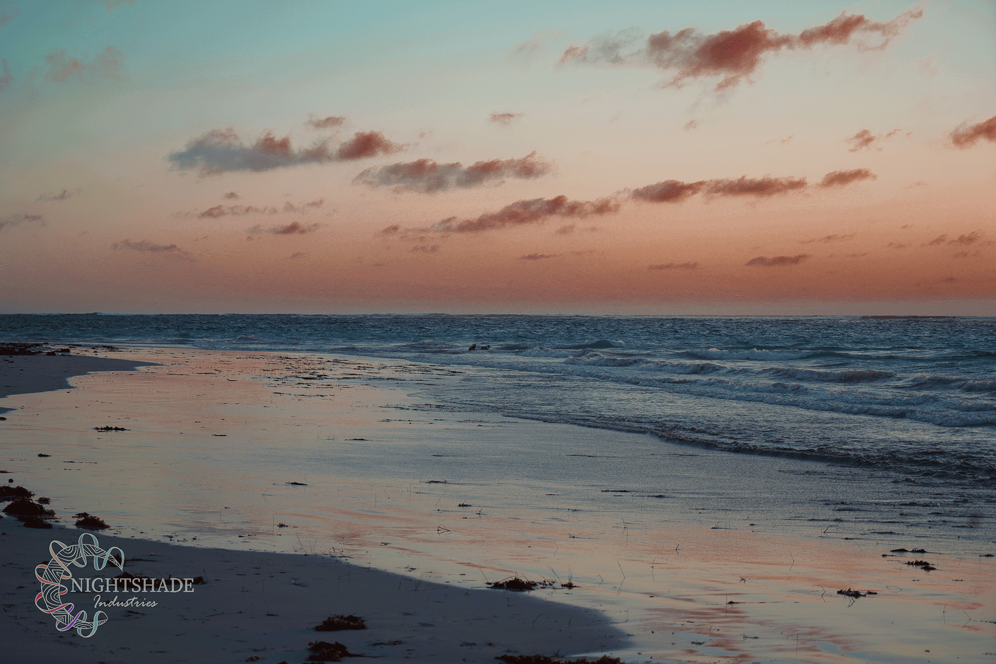 Beach Collection — NightShade Industries - Visual Artist & Photographer ...