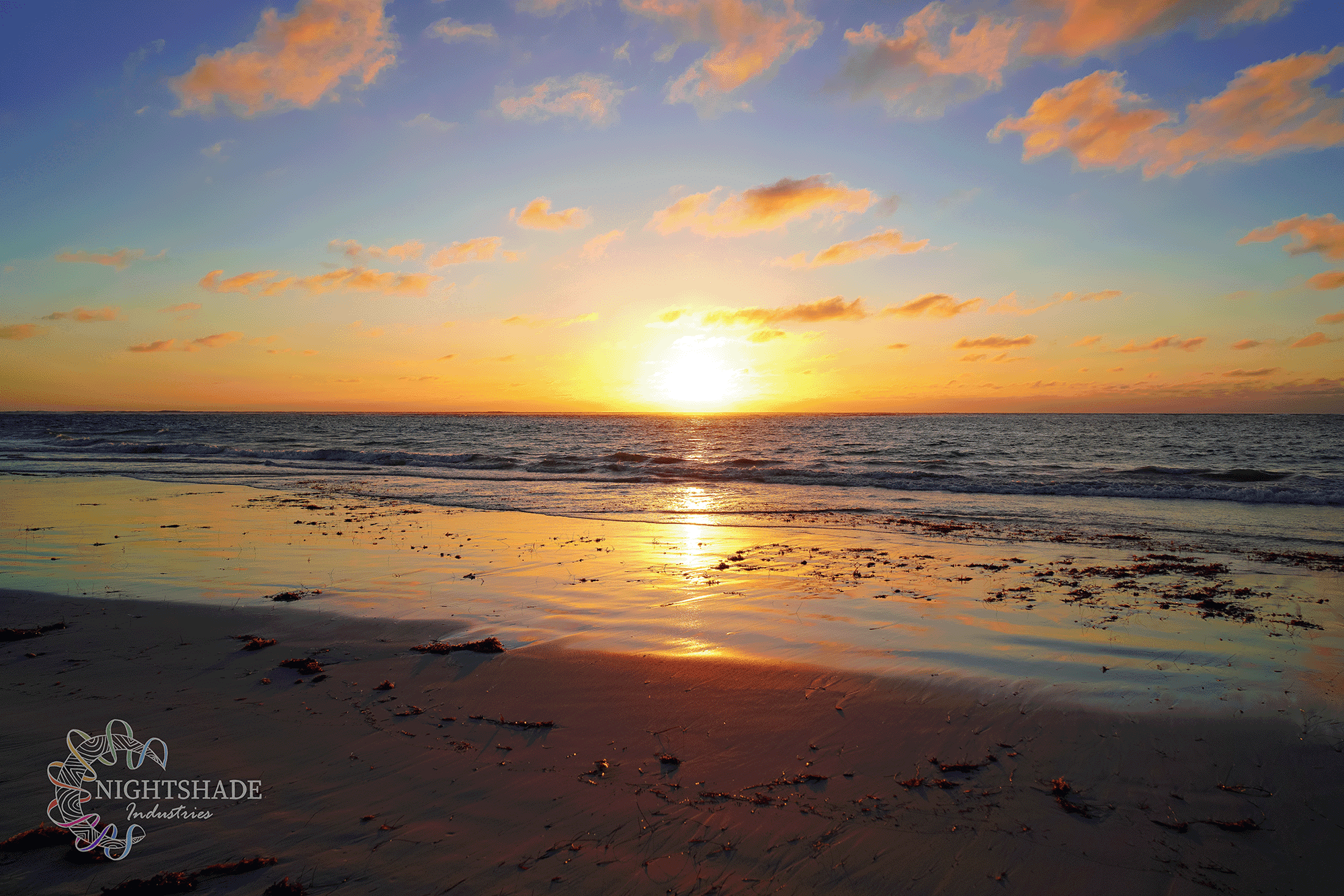 Beach Collection — NightShade Industries - Visual Artist & Photographer ...