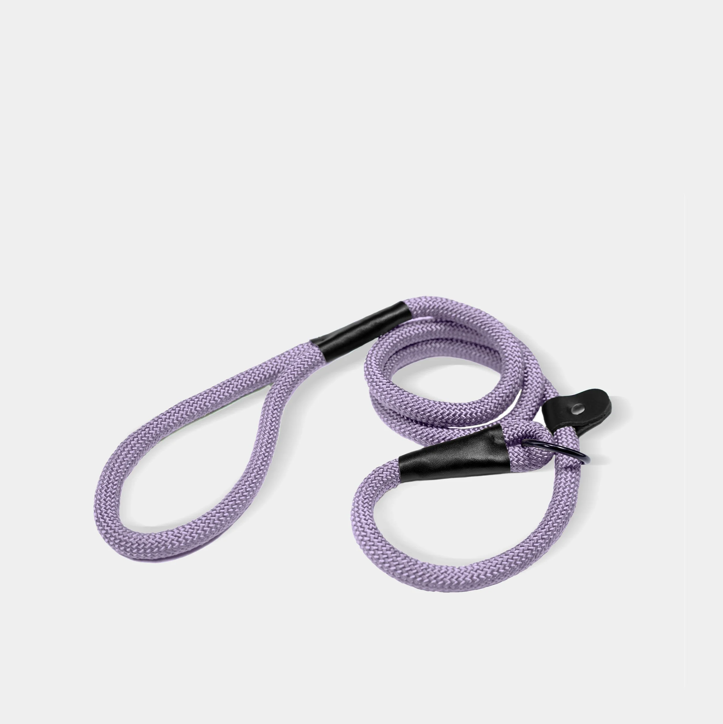 purple+leash.jpg