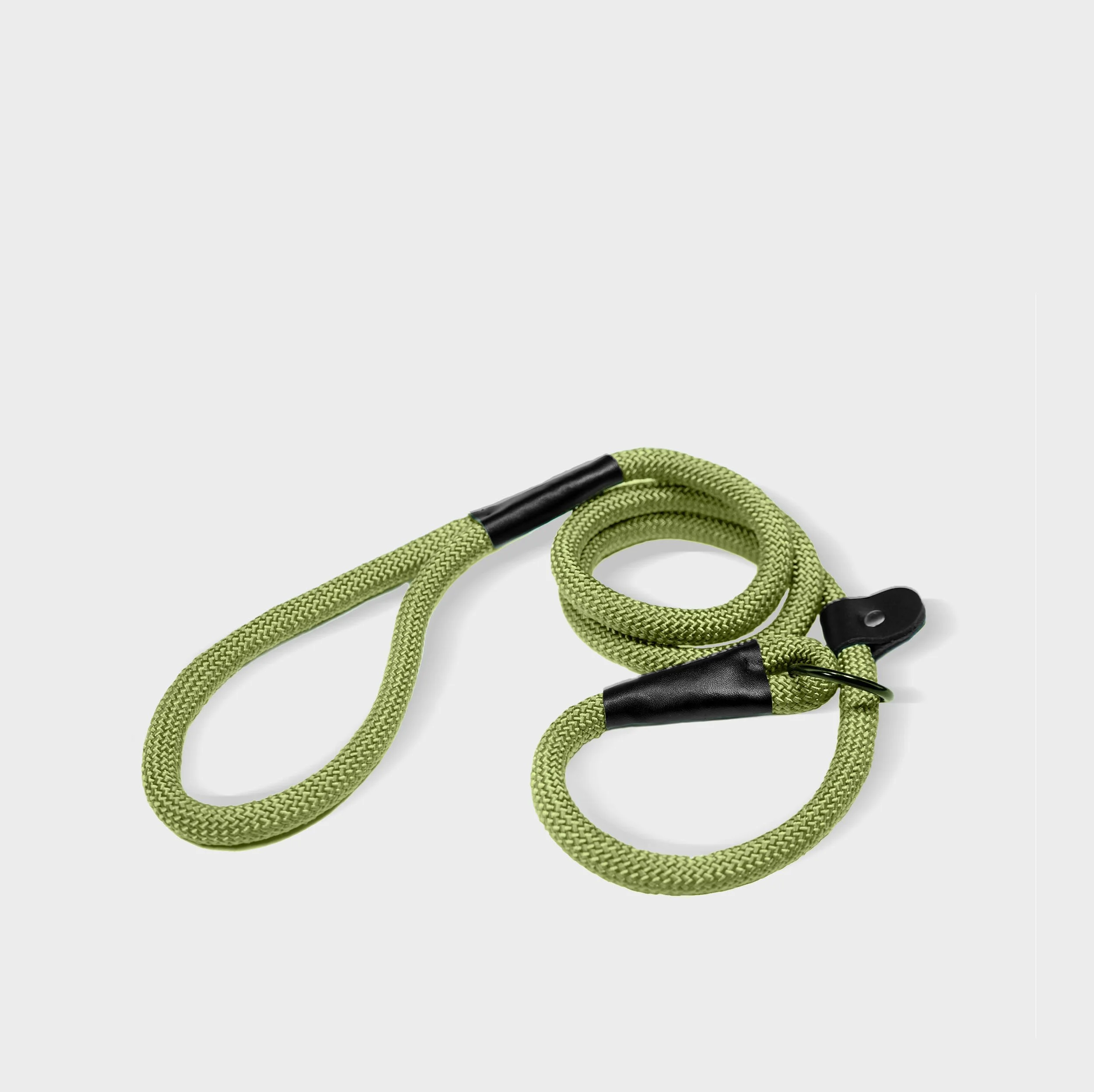 green+leash.jpg
