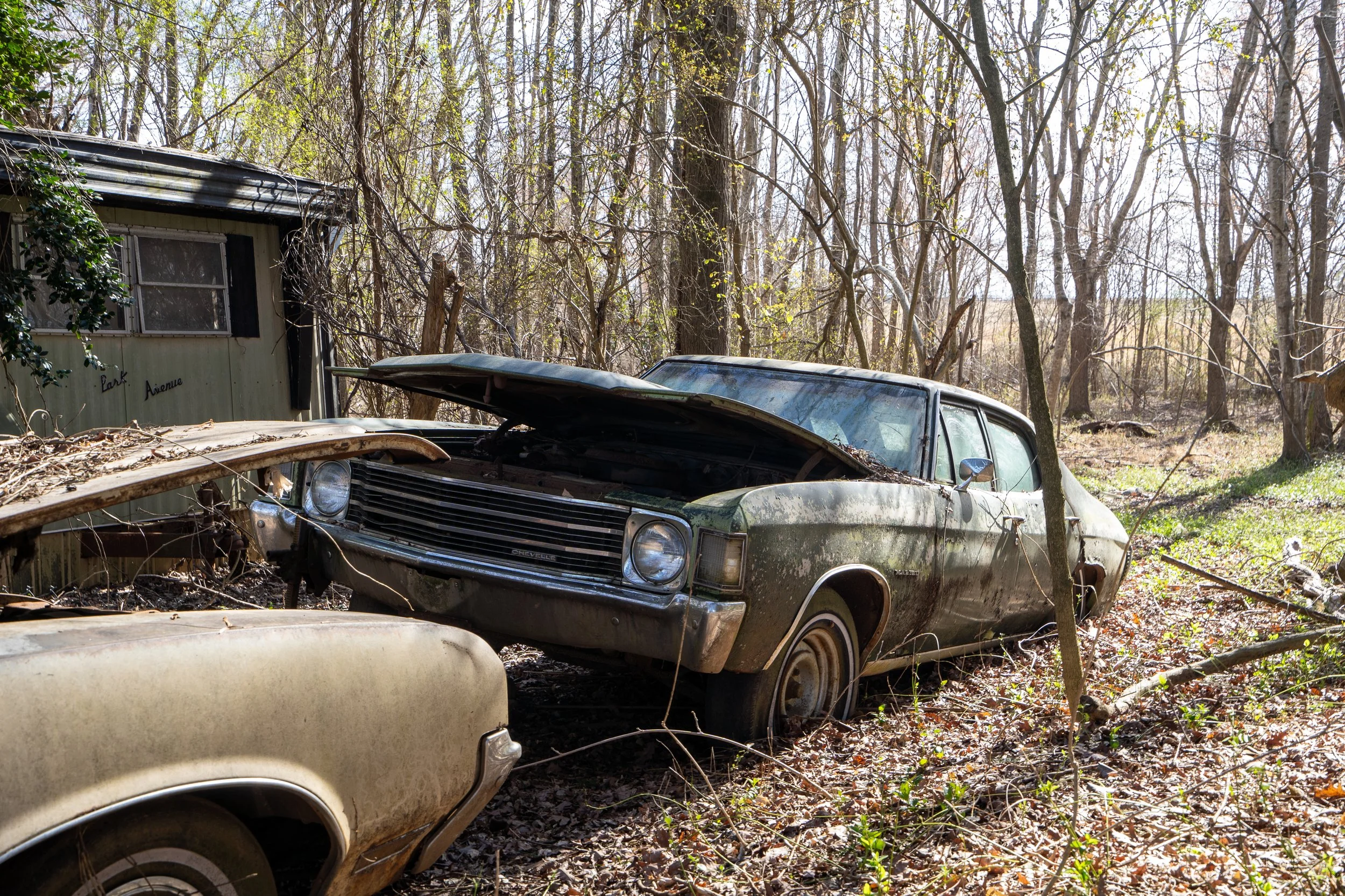 Car Graveyard, GA