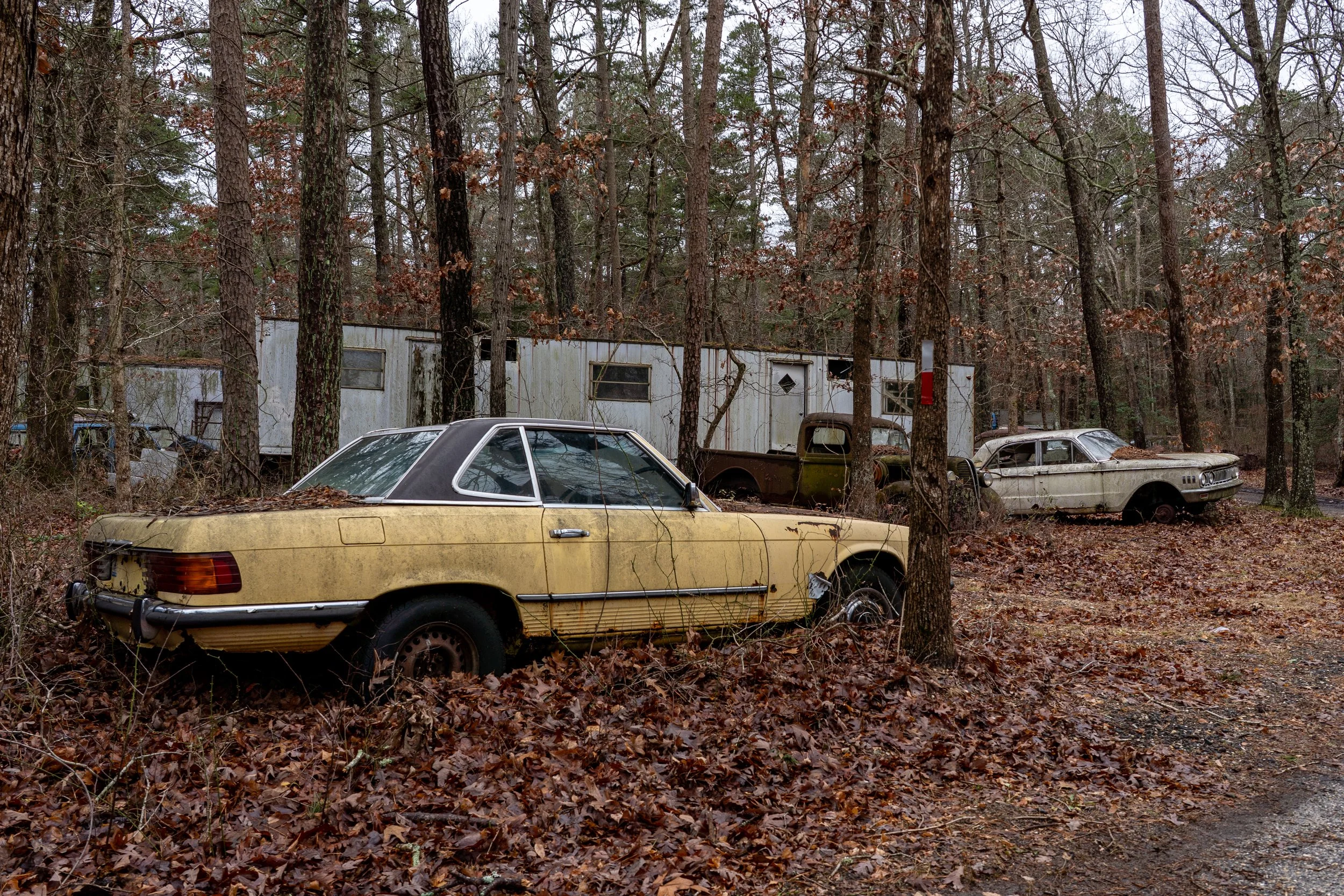 Car Graveyard, NJ
