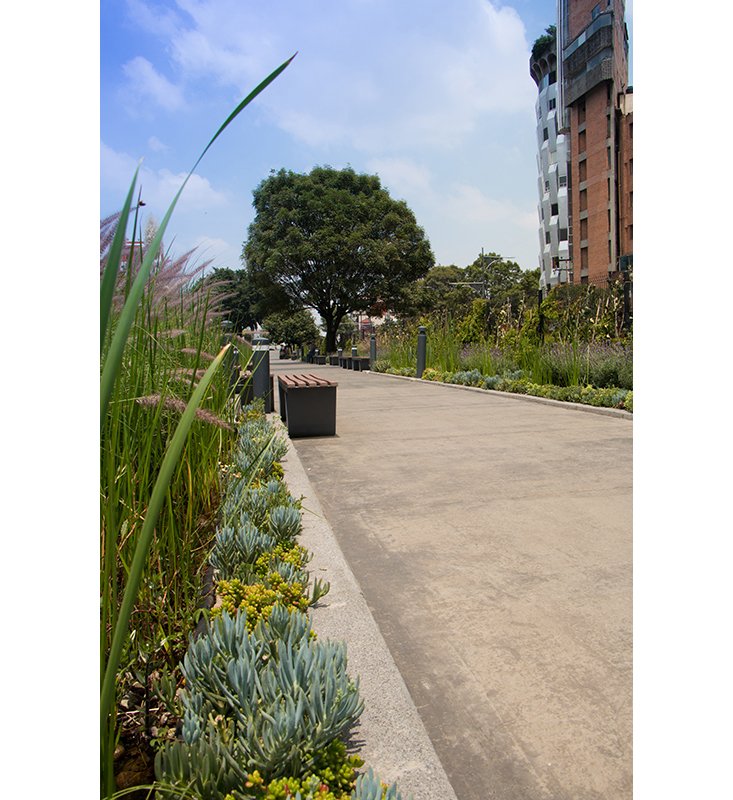 parquelineal_sesion2_-7_800.jpg