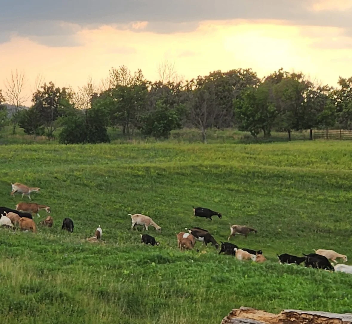 Simple Life Farms - Vendor Application