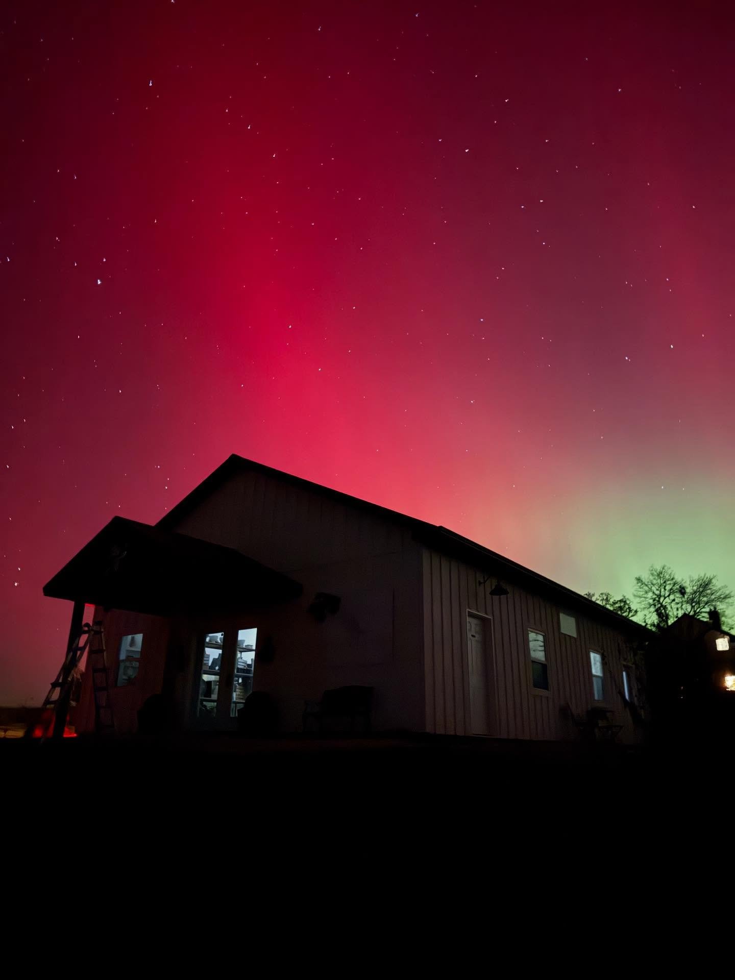 PepperHarrow Flower Farm