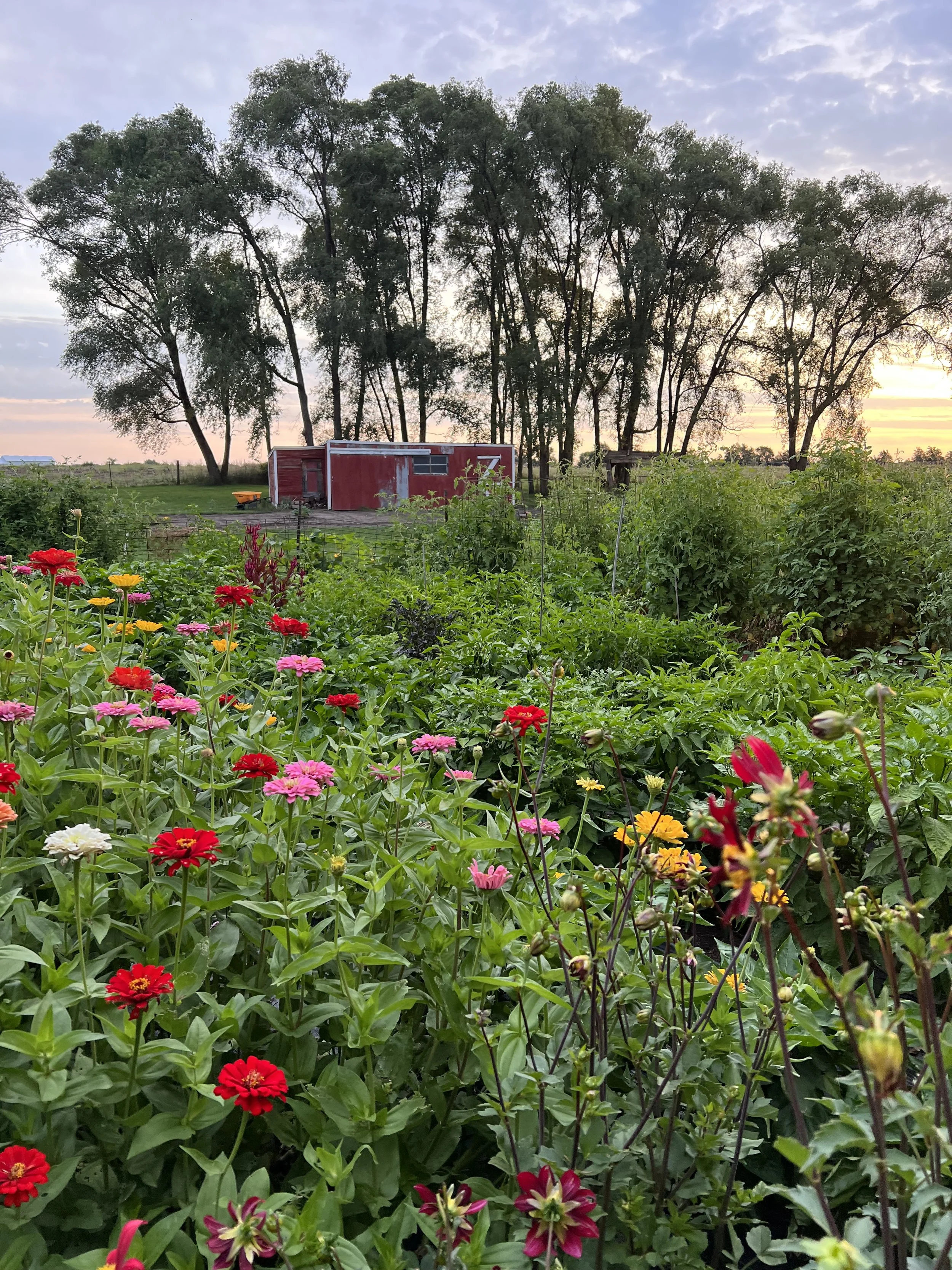 cedar shake farm