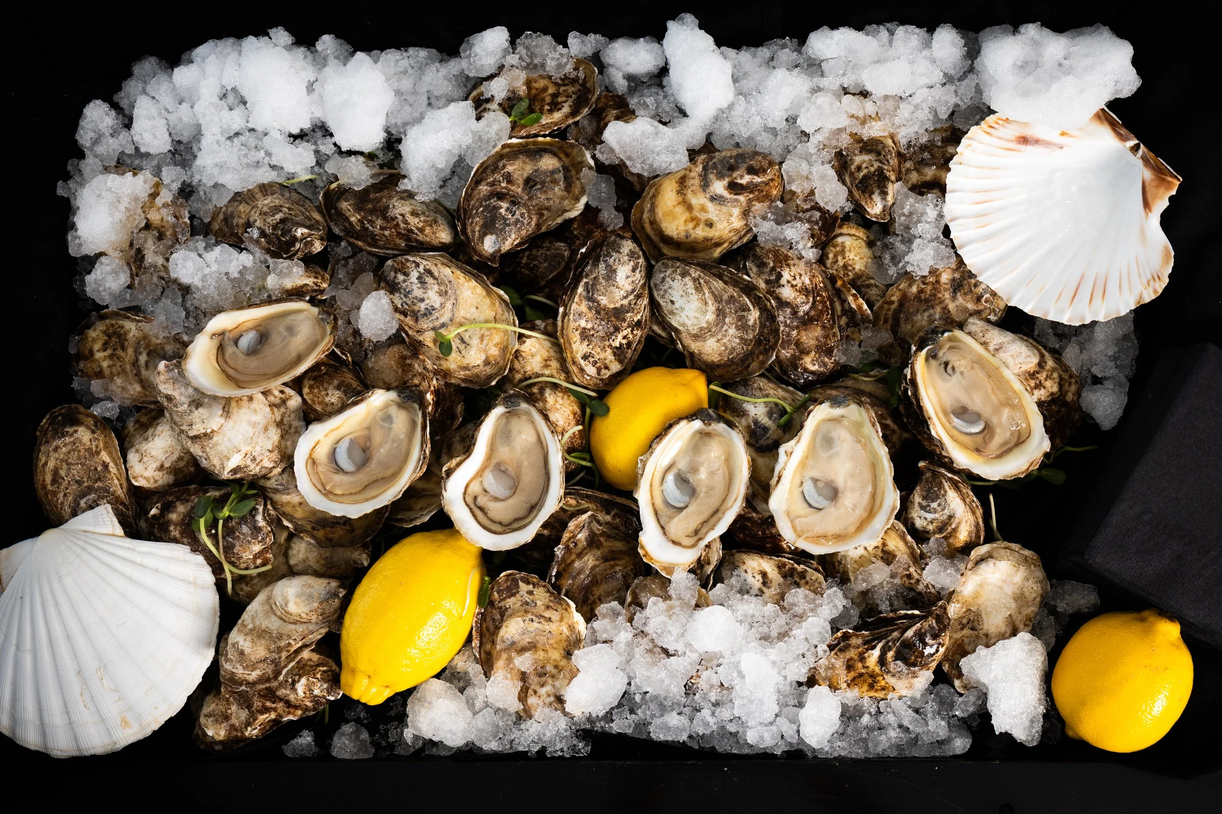 1er anniversaire Comptoir à fruits de mer huîtres 1$