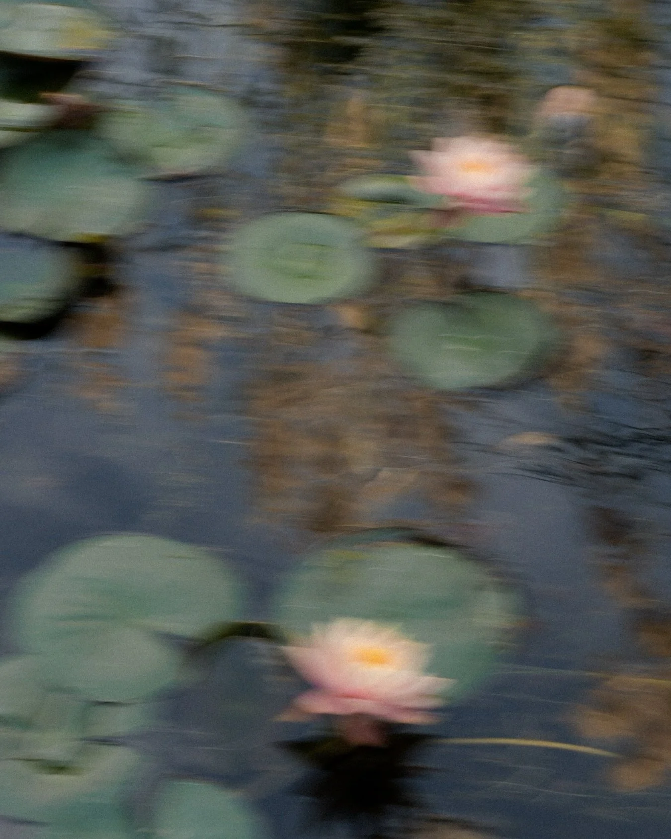 Para mi la fotograf&iacute;a es pintar con luz 

Esta foto la tome en una boda en la que fui de segunda c&aacute;mara con @amfotografia__