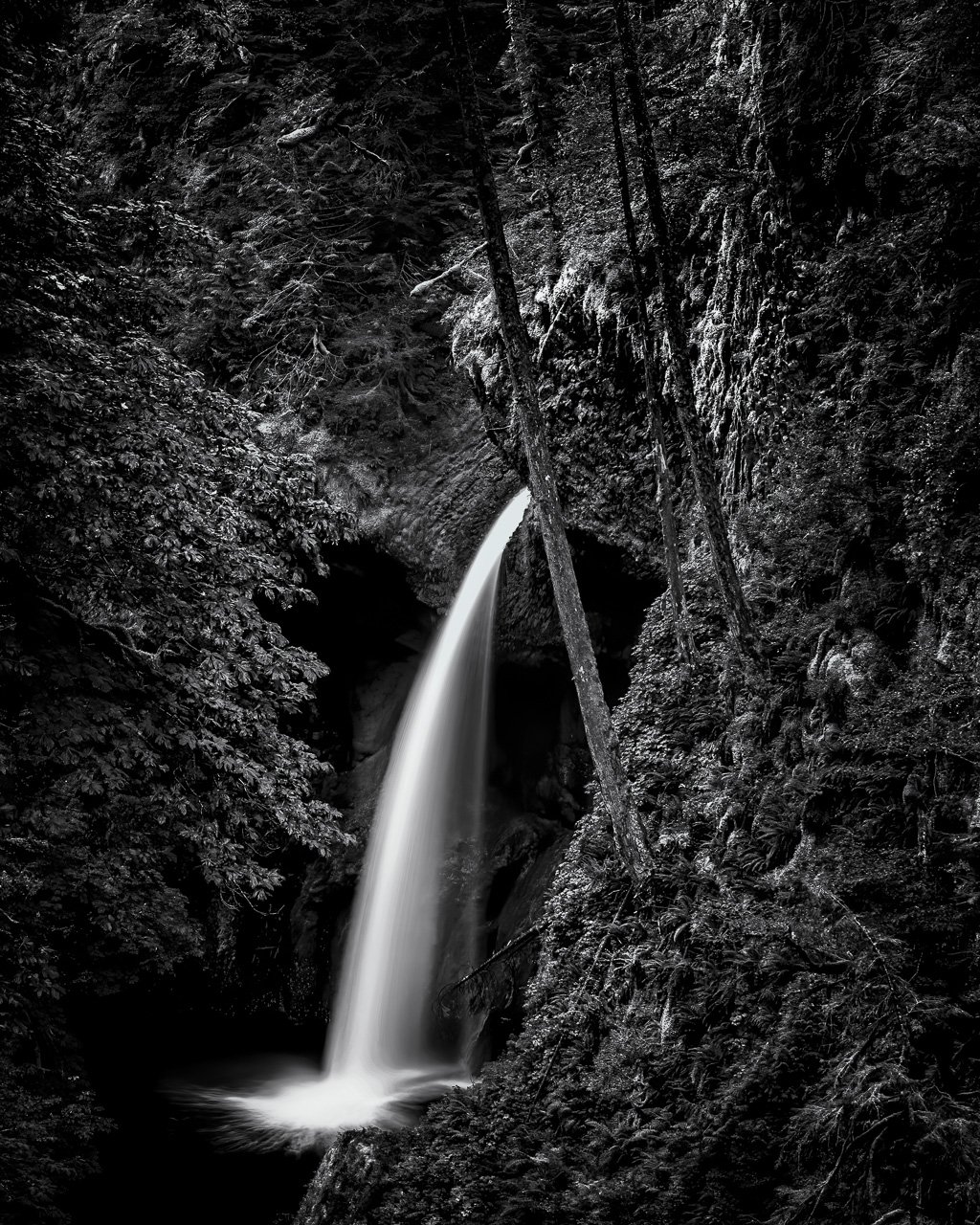 "Metlako Falls"

Metlako Falls along Eagle Creek Trail
Columbia River Gorge
