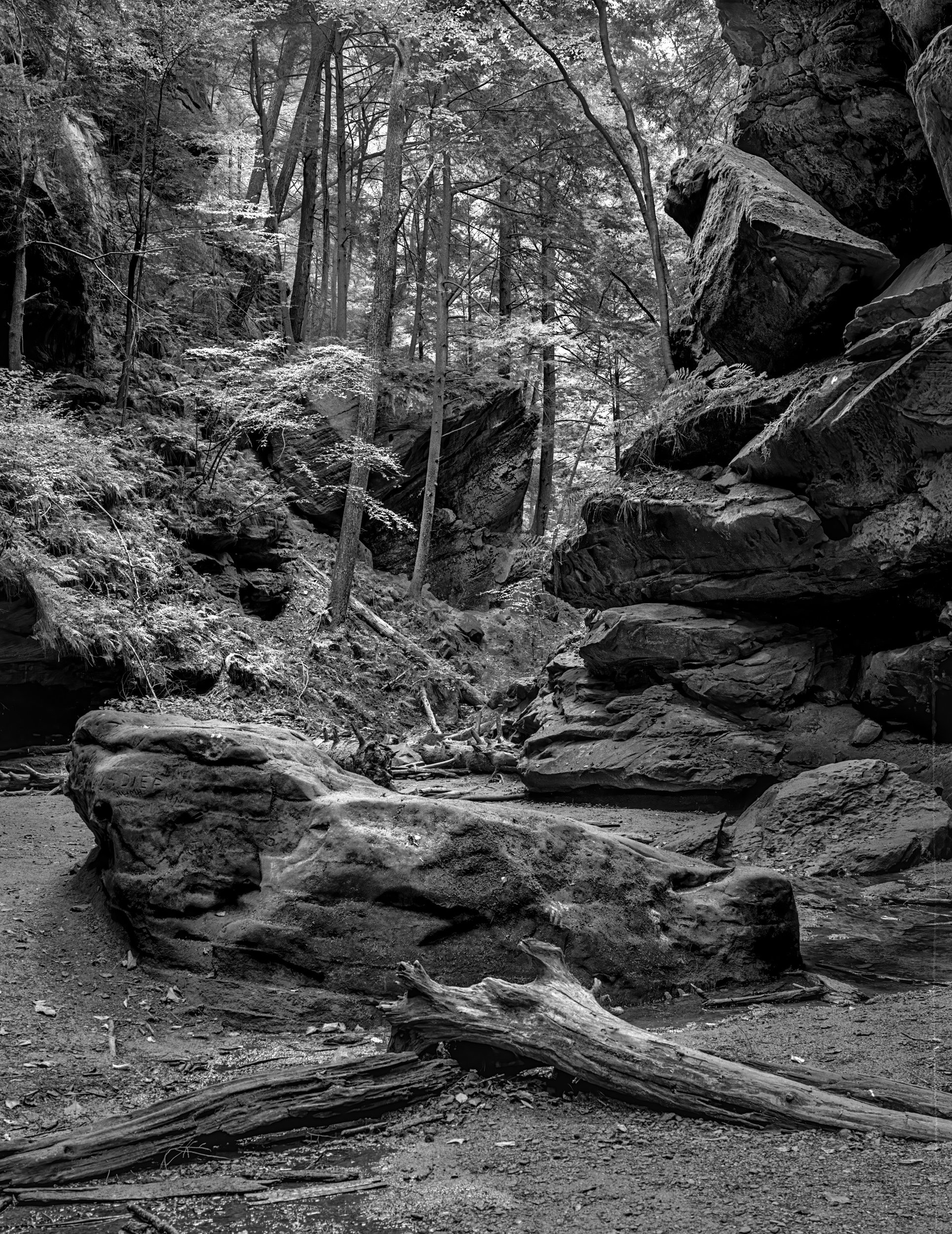 "Conkles Hollow Detail #2"

Conkles Hollow, Hocking Hills of Ohio