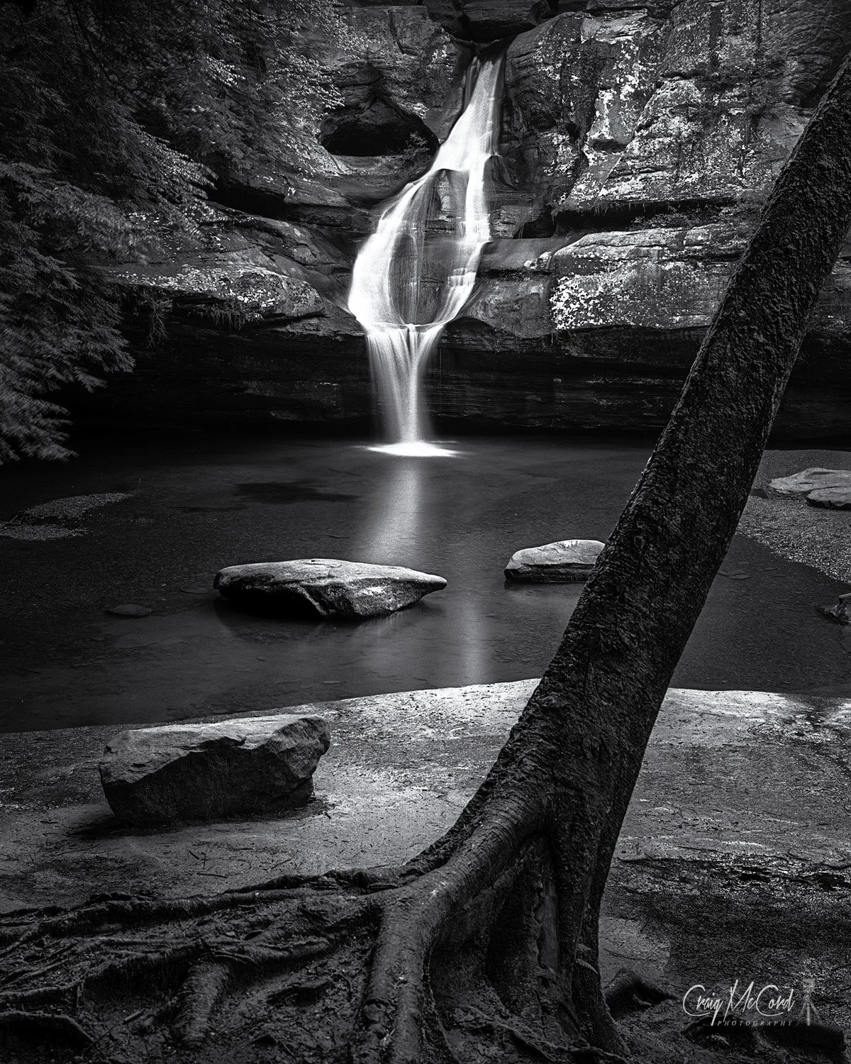 Black and white photograph of Cedar Falls in Hocking Hills, featuring a smooth waterfall flowing into a calm pool, surrounded by textured rocks and a tree with exposed roots in the foreground.