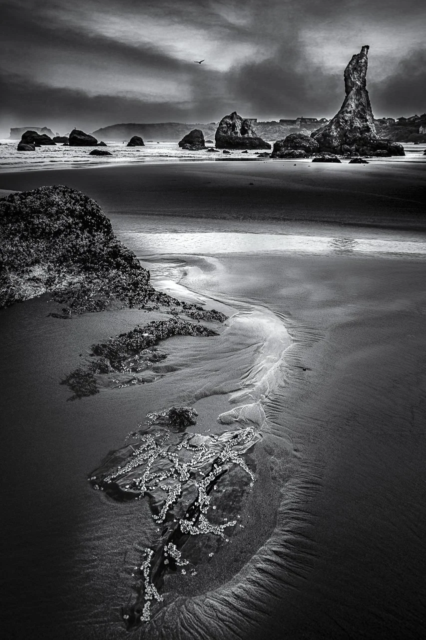 "Howling Dog Sea Stack"

Bandon Oregon