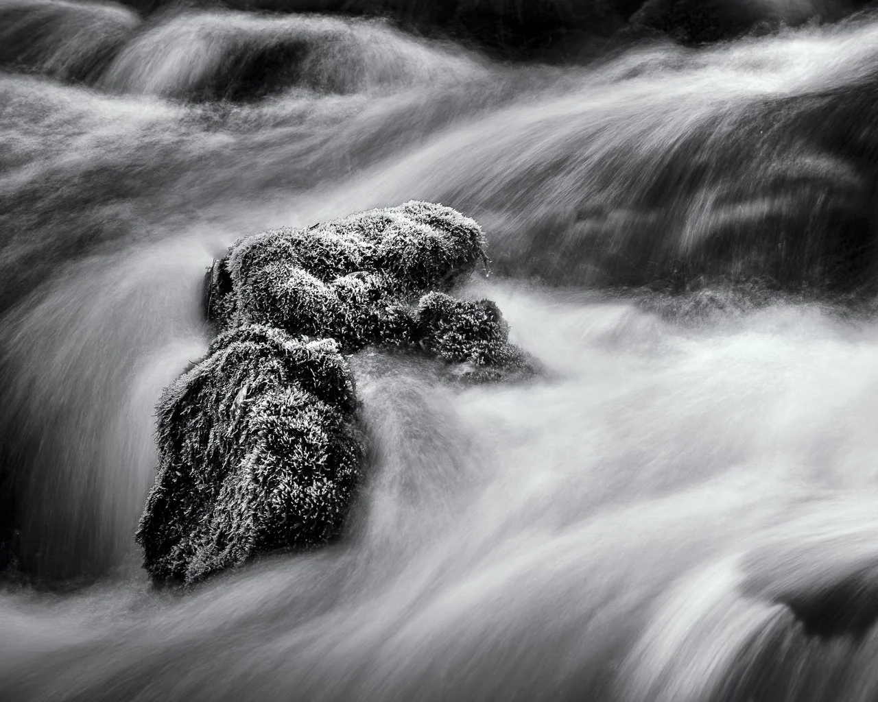 "Alley Spring Outflow Detail"

Outflow cascade of Alley Spring, Shannon County, Missouri