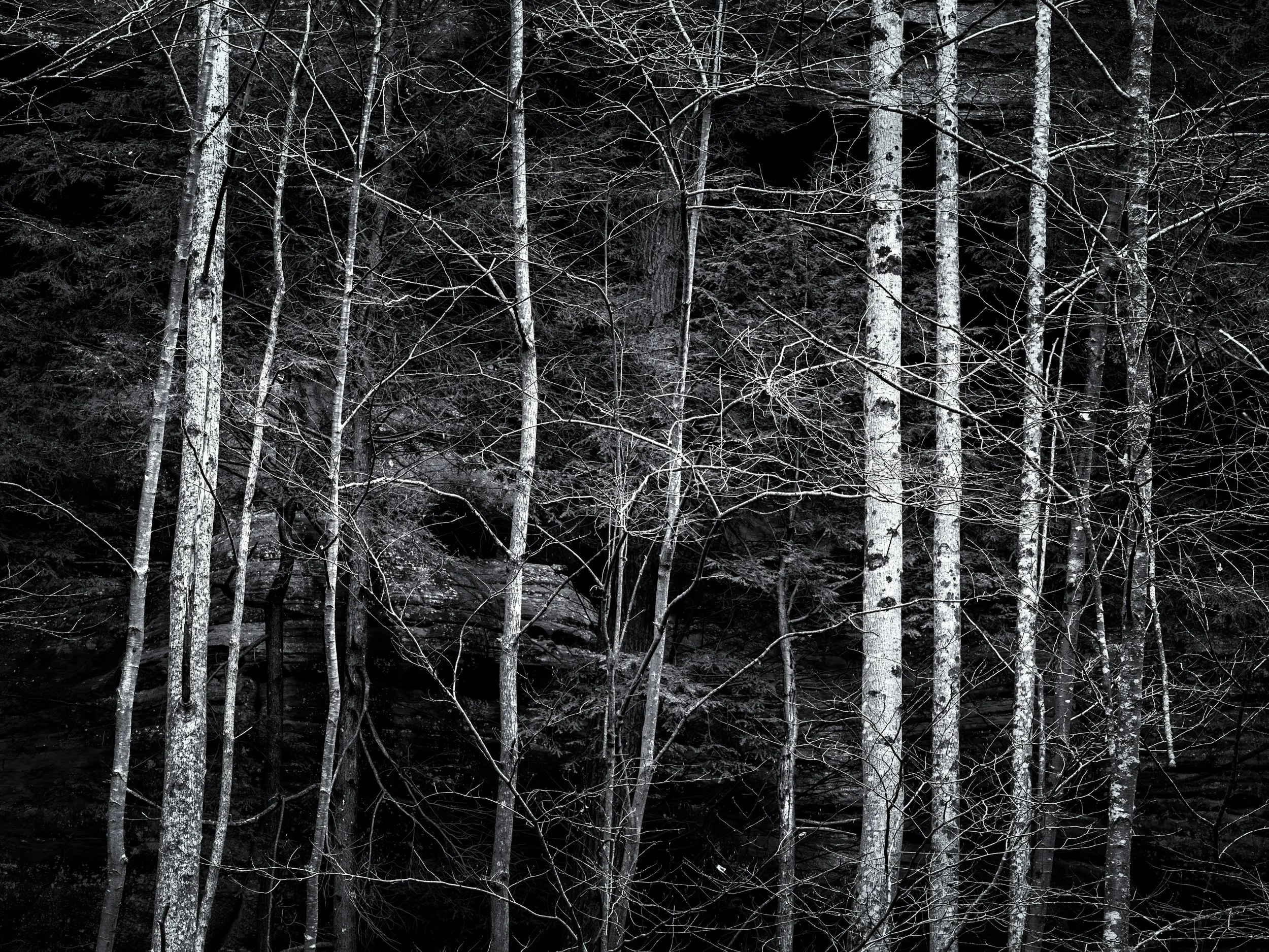 "Lower Falls Birch"

Along the path to Lower Falls in Hocking Hills State Park are groups of birch trees.  Still void of any Spring growth, they provided a good contrast against the adjacent sandstope wall.