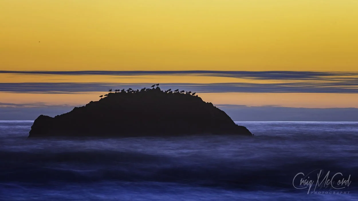 Silhouetted rocky island in the ocean at sunset with birds perched on top, colorful sky with orange and pink hues, calm water in foreground.