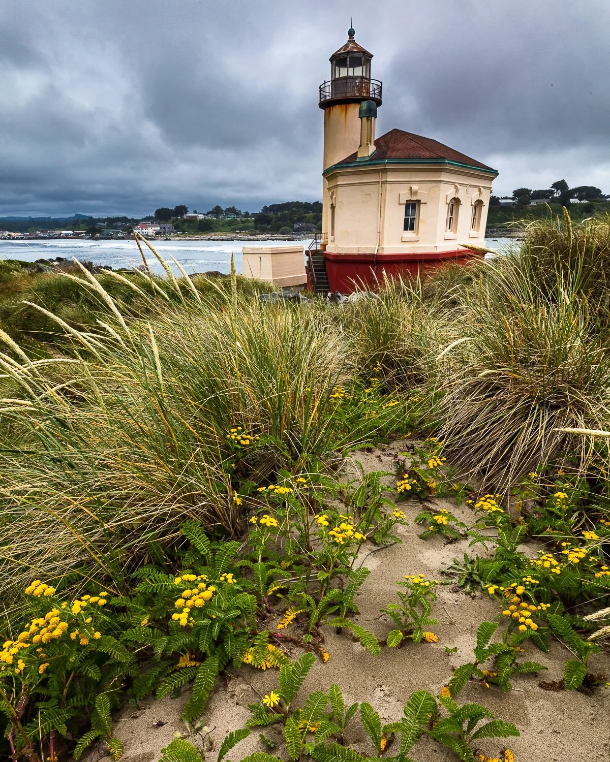 A lighthouse near the coast, surrounded by green beach grass and yellow wildflowers, under a cloudy sky.