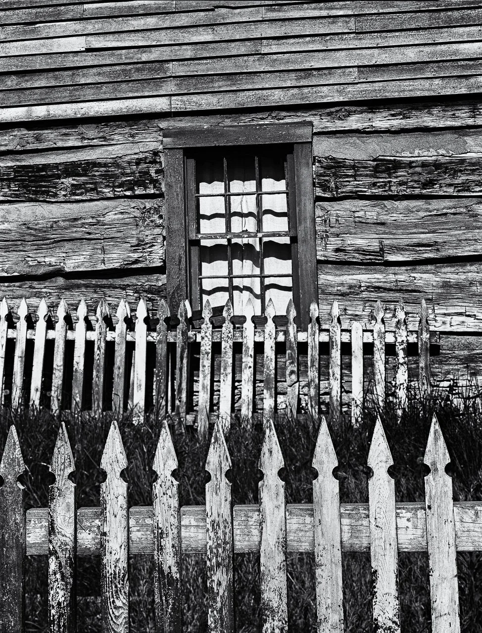 "Pickets and Clapboard"
 
Pickets against old clapboard house, 
rural Ohio