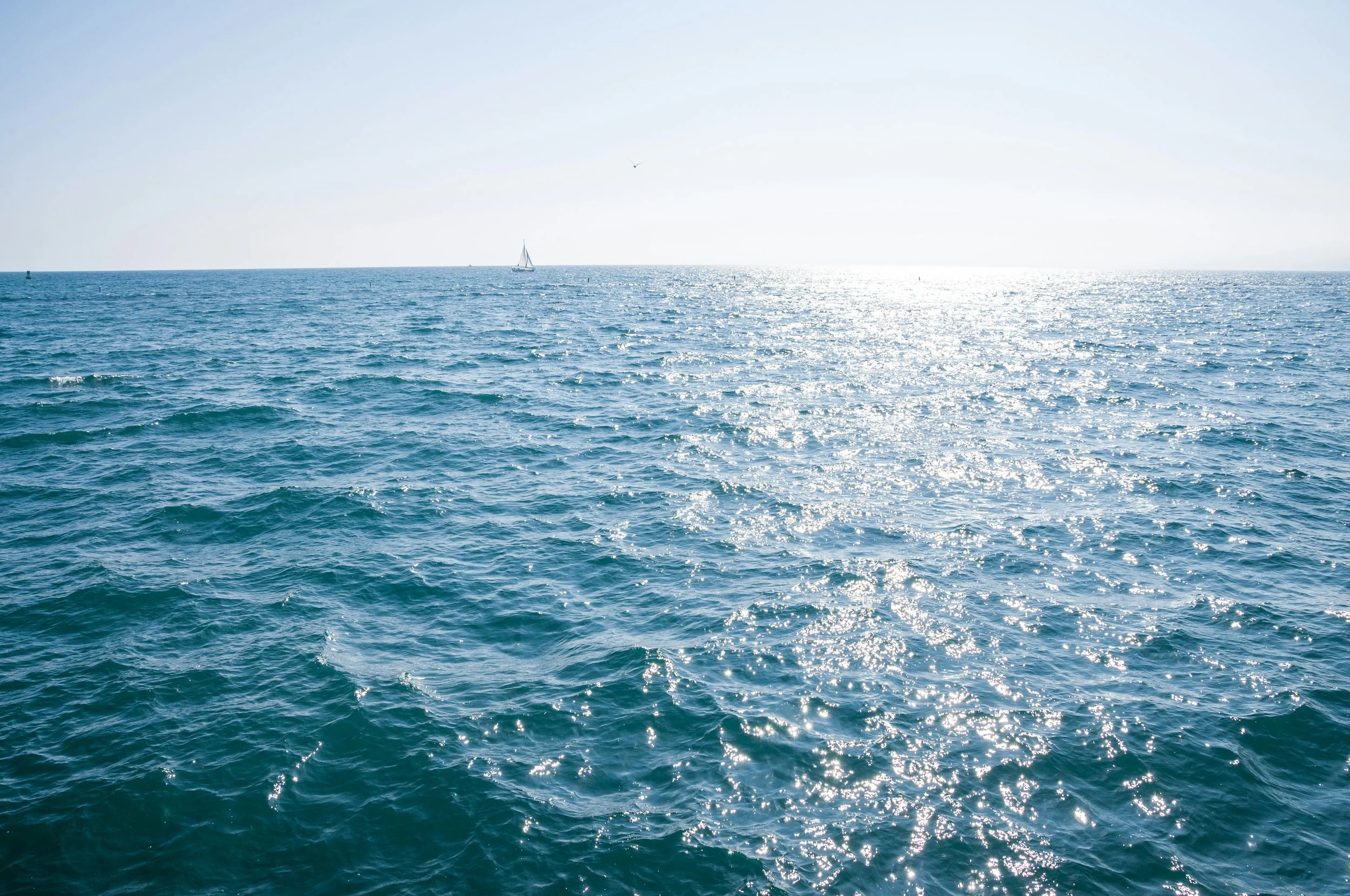 Singlehanded Championship – Carsington Sailing Club