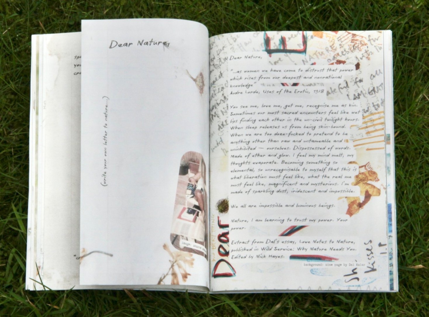 Inside pages from Dear Nature zine (Peaks of Colour Creative Residency 2024)