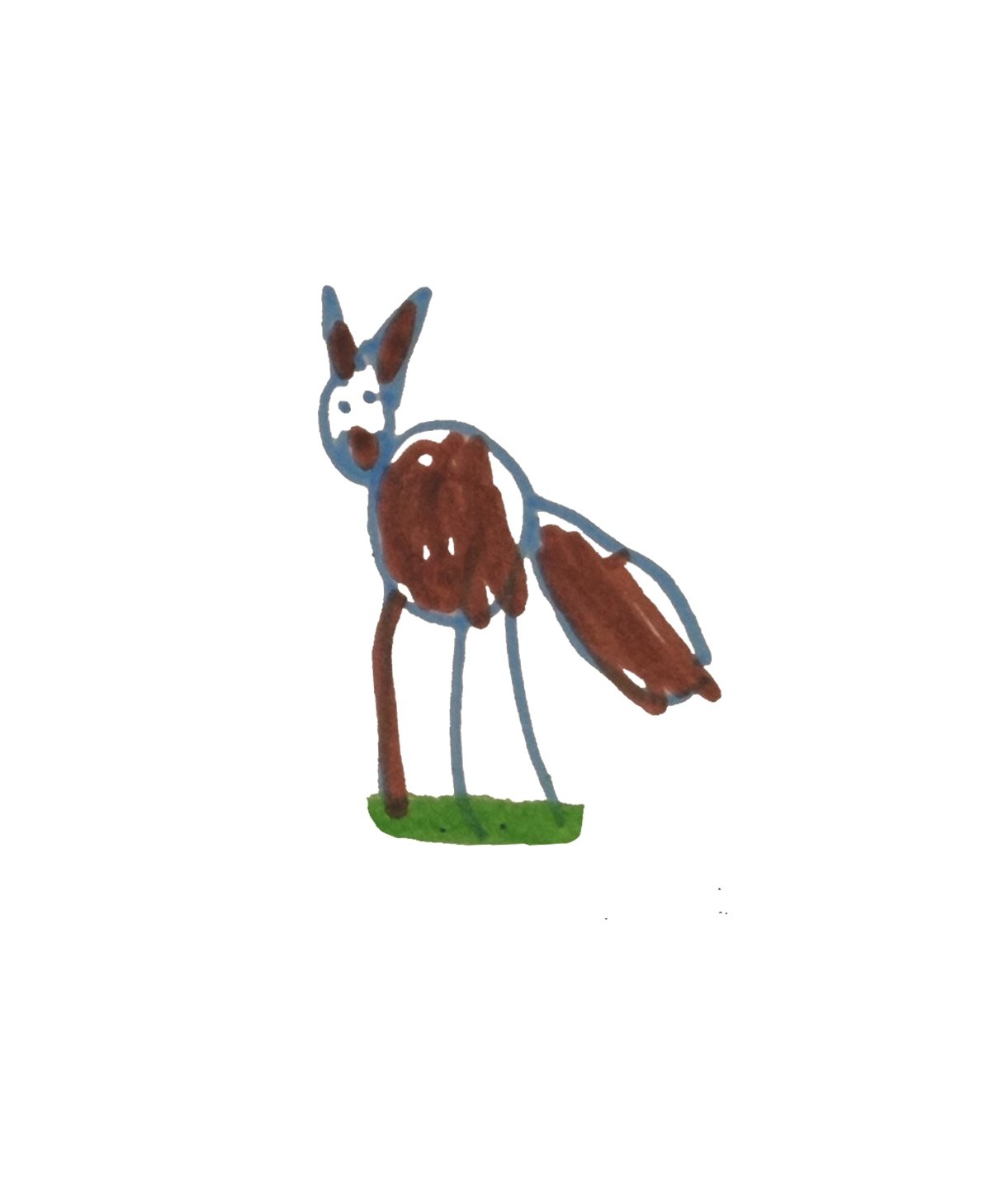 kenna cat small.jpg