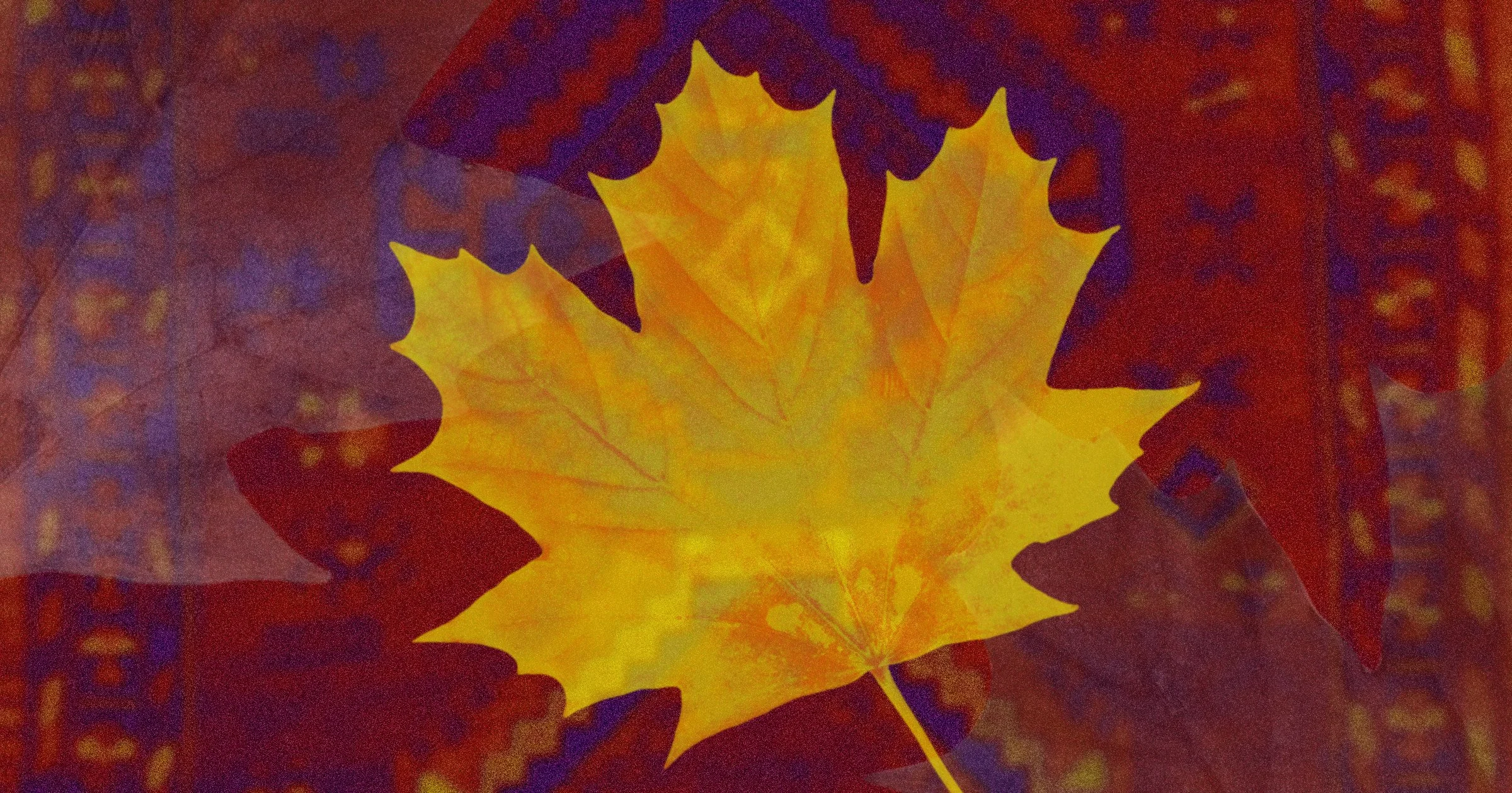 «Գանատայի մէջ հայկական ինքնութիւնը ինչպէ՞ս կը սահմանուի» առցանց զեկոյց