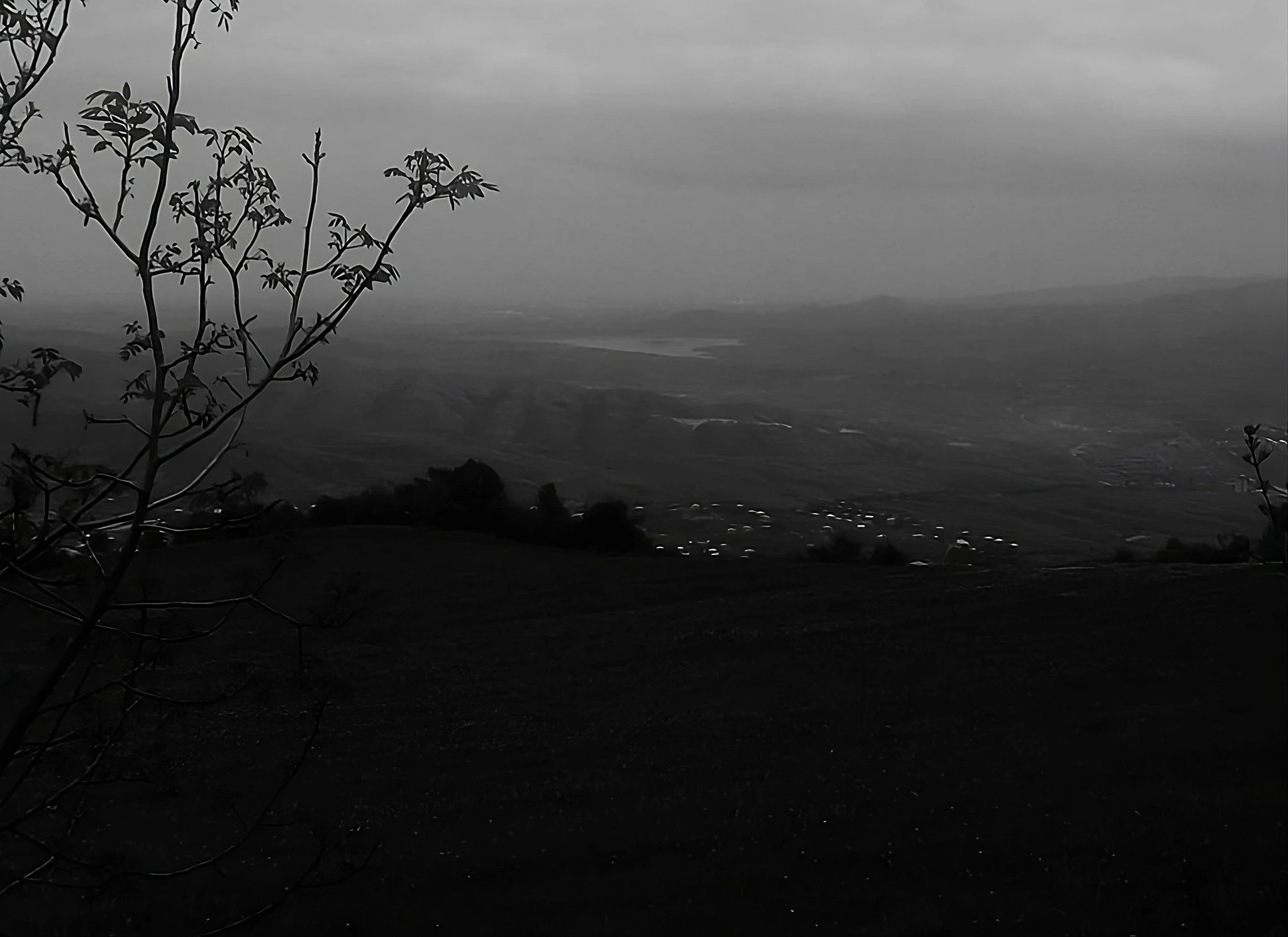 ԹՈՐՈՆԹՈՀԱՅ ԲԱՆԱՍՏԵՂԾՈՒԹԻՒՆ