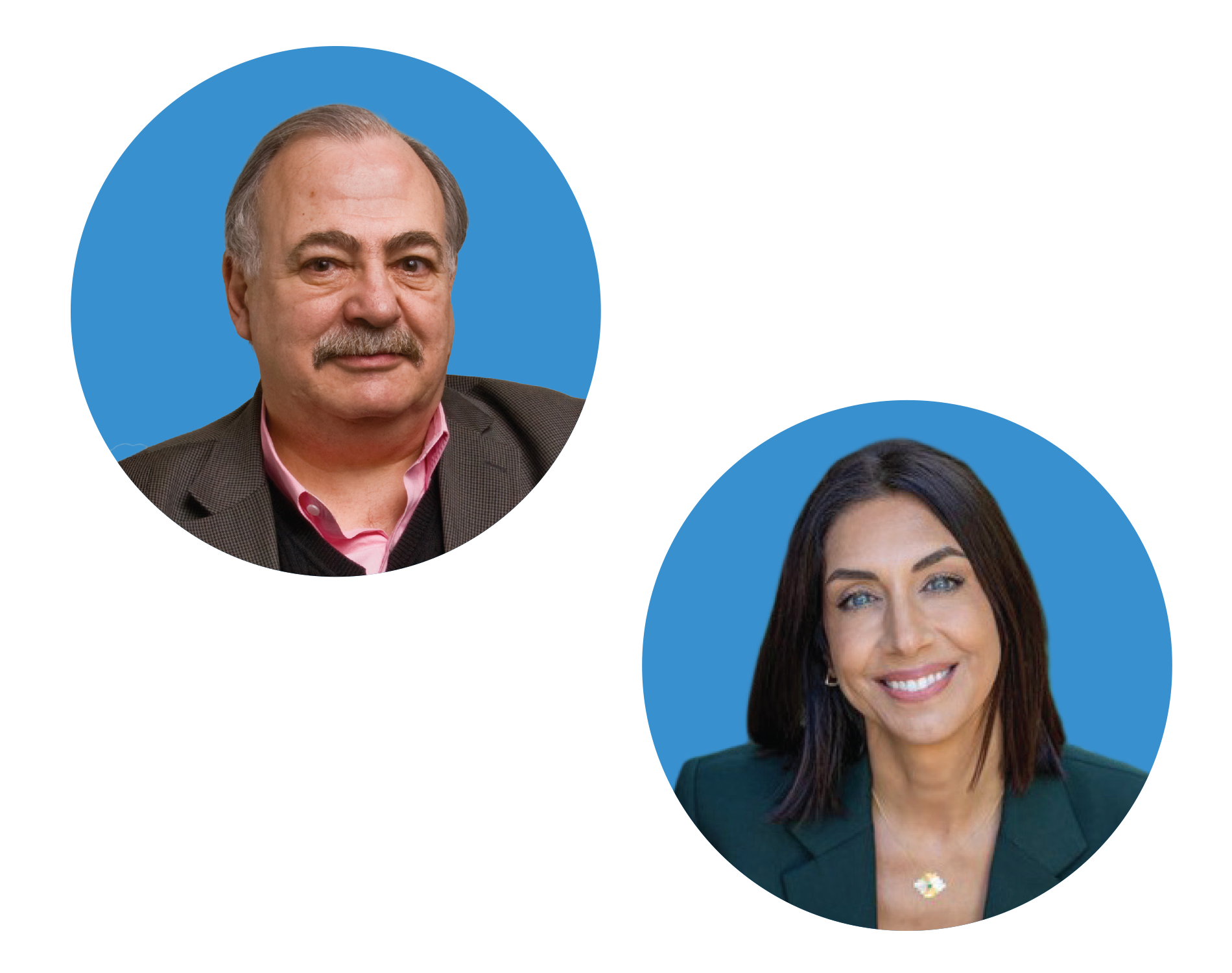 Tölölyan and Chahinian rethink Armenian diaspora at UofT ASA online panel