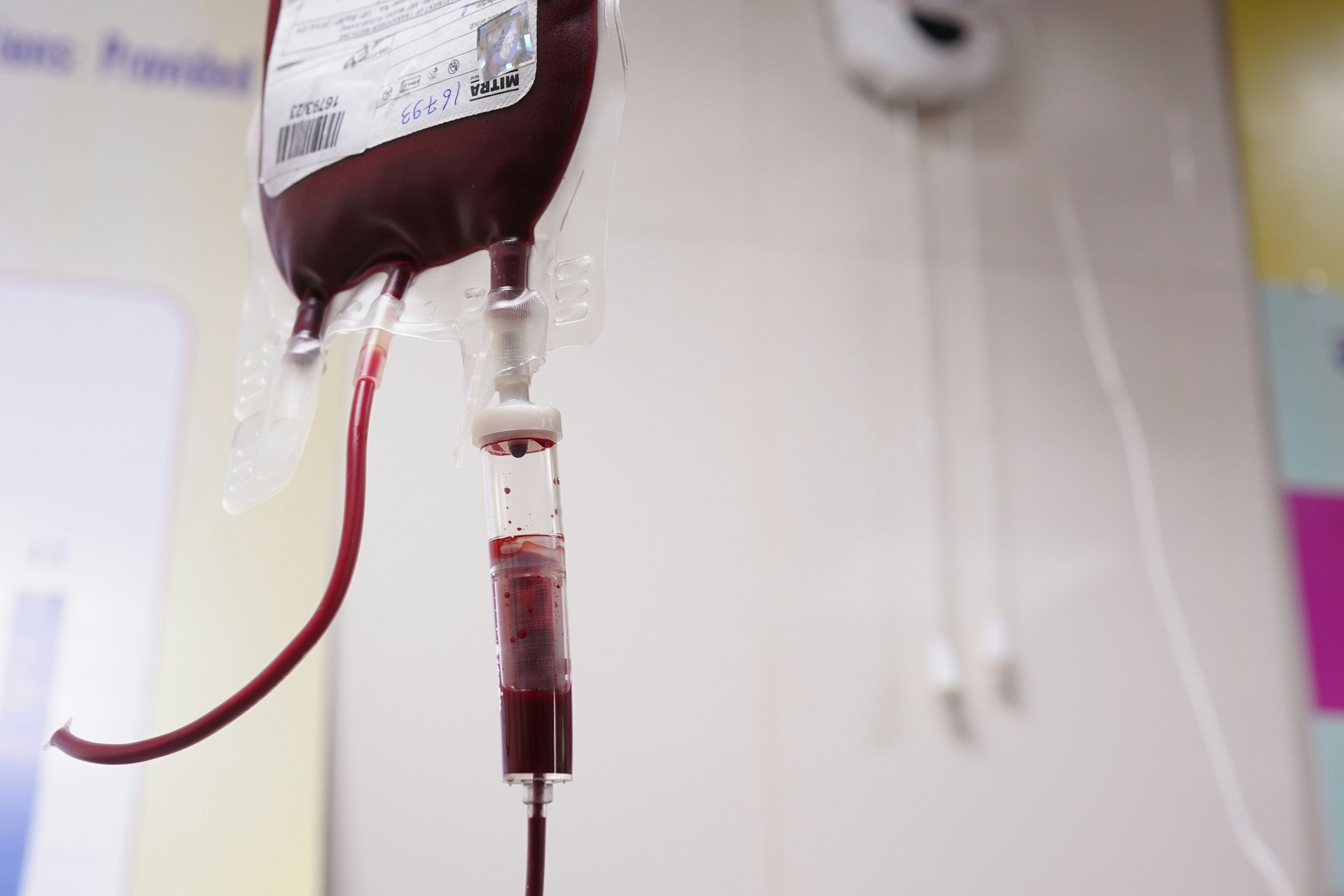 Blood for memory: Toronto community mobilizes for April 25 blood drive
