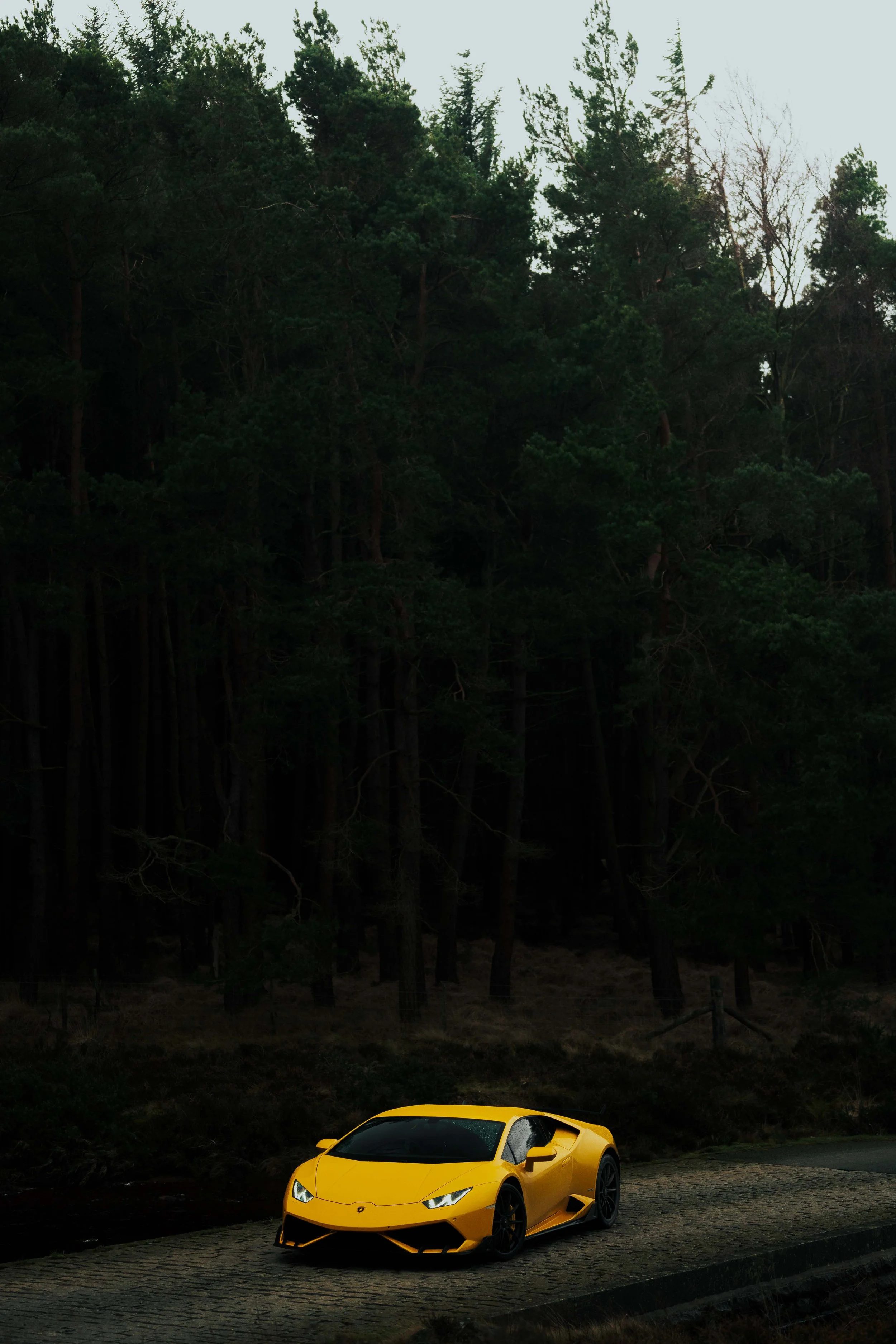 DSC01515-Edit.jpg