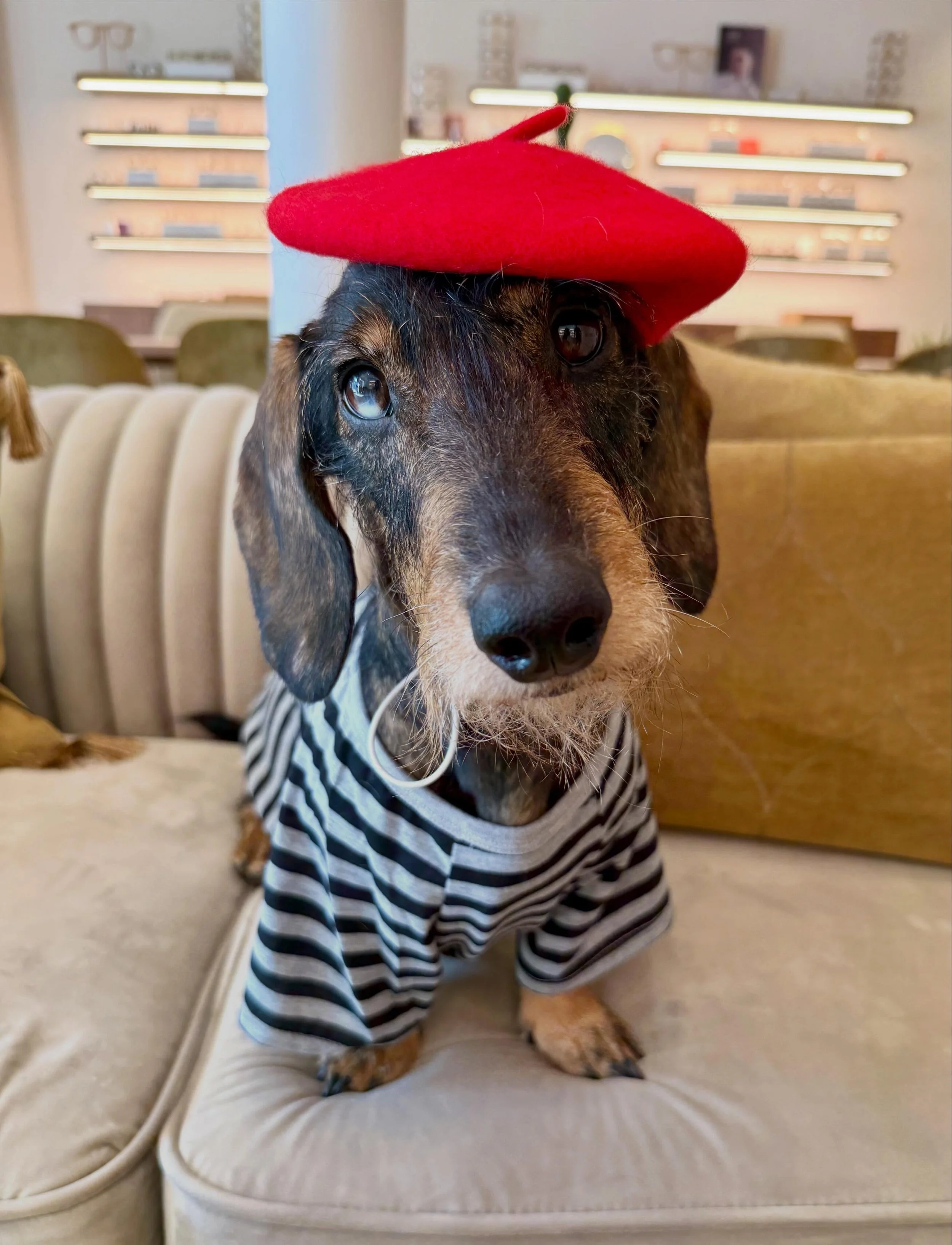 ☀️Een heel fijn en zonnig weekend toegewenst!
⛱️ En voor wie een verlengd weekend heeft, geniet ervan! 🍉🍹

👀 Wij staan vanaf dinsdag terug klaar voor jullie 👓🕶️

Isabelle &amp; Philip &amp; Bibi 🐾

#optiekhuys #opticien #sunnyweekend #teckel