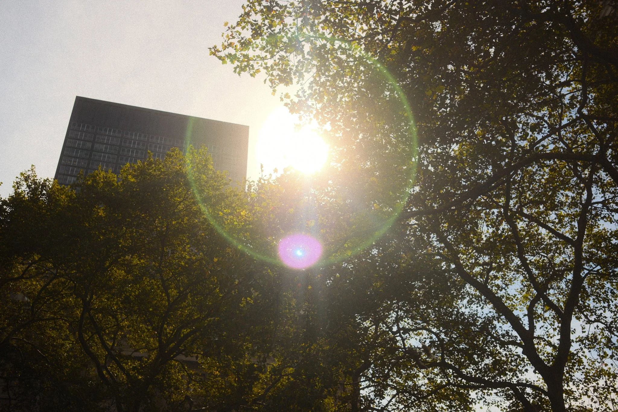 003nyc.jpg