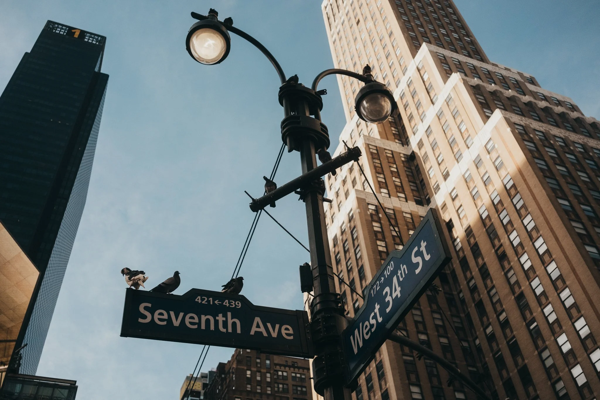 011nyc.jpg