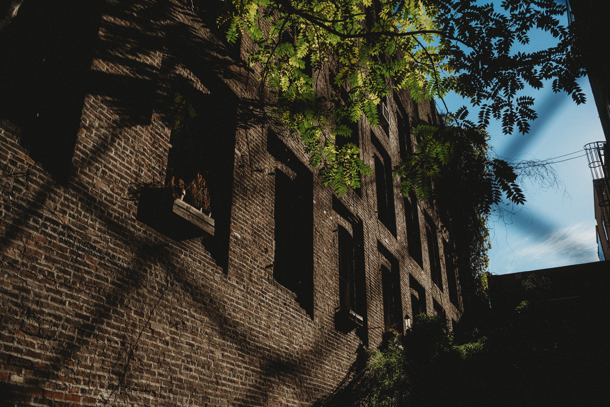 021nyc.jpg
