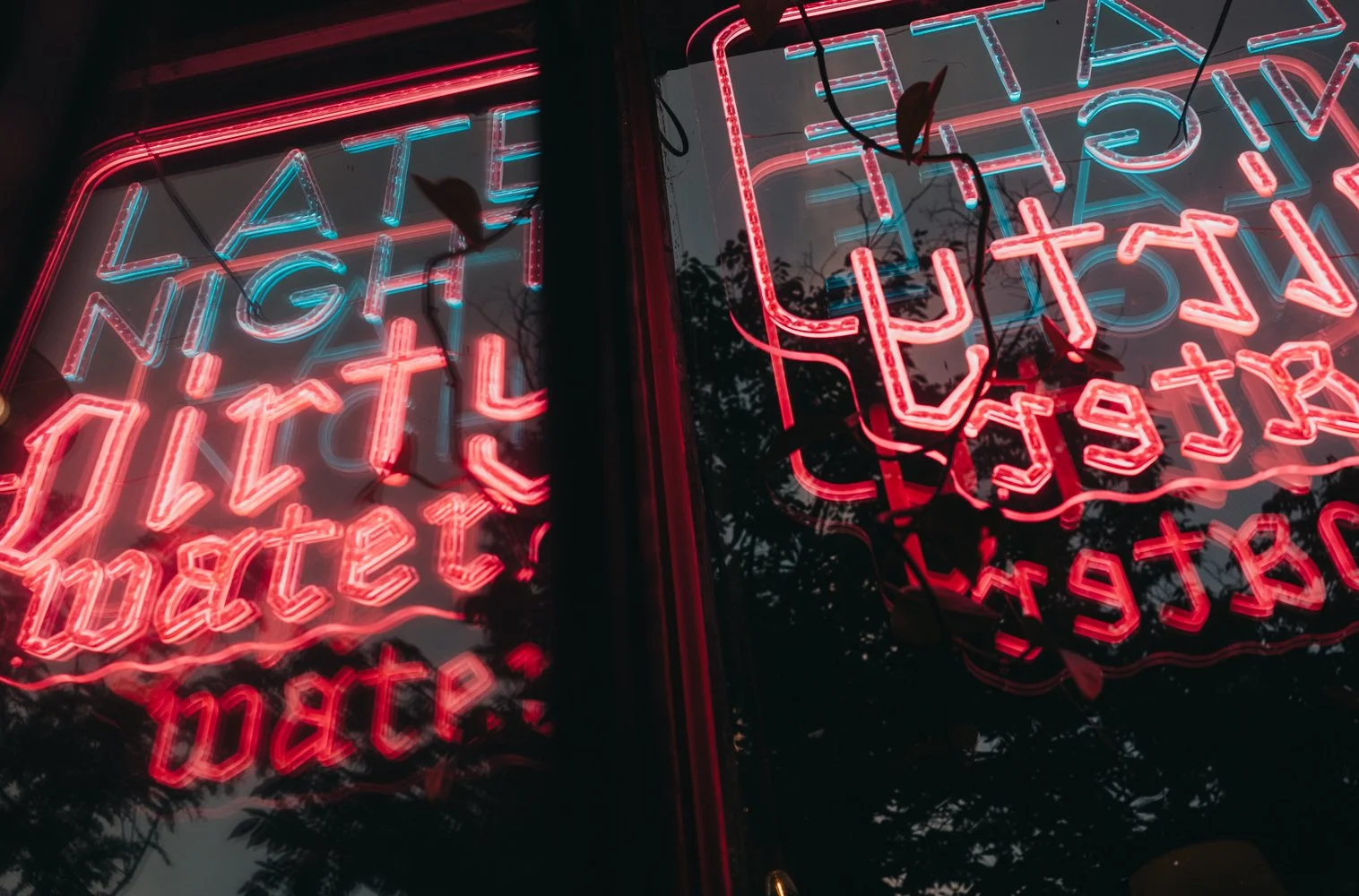 NYC Fuji Street Picks-2.jpg