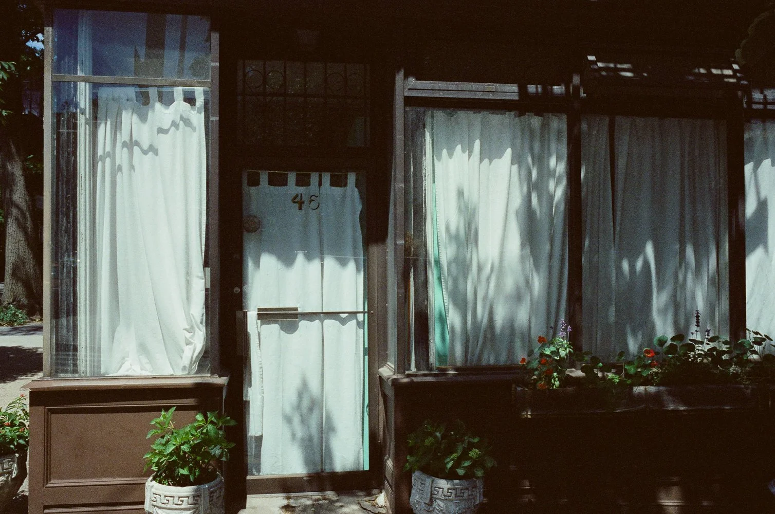 NYC Fuji Street Picks-19.jpg