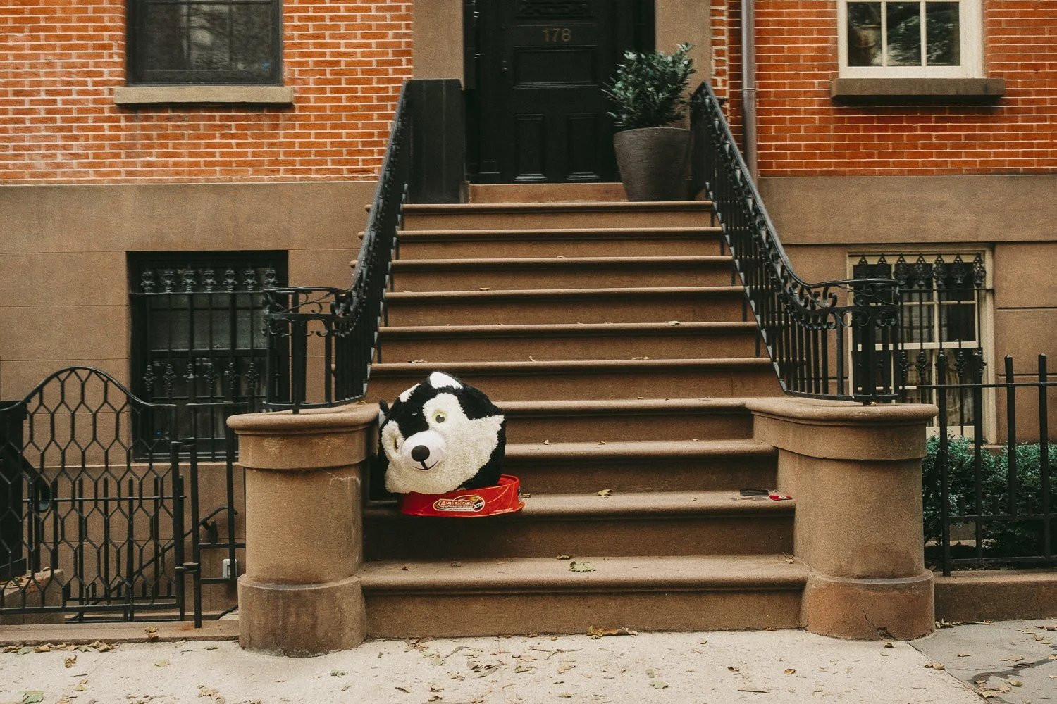 NYC Fuji Street Picks-52.jpg