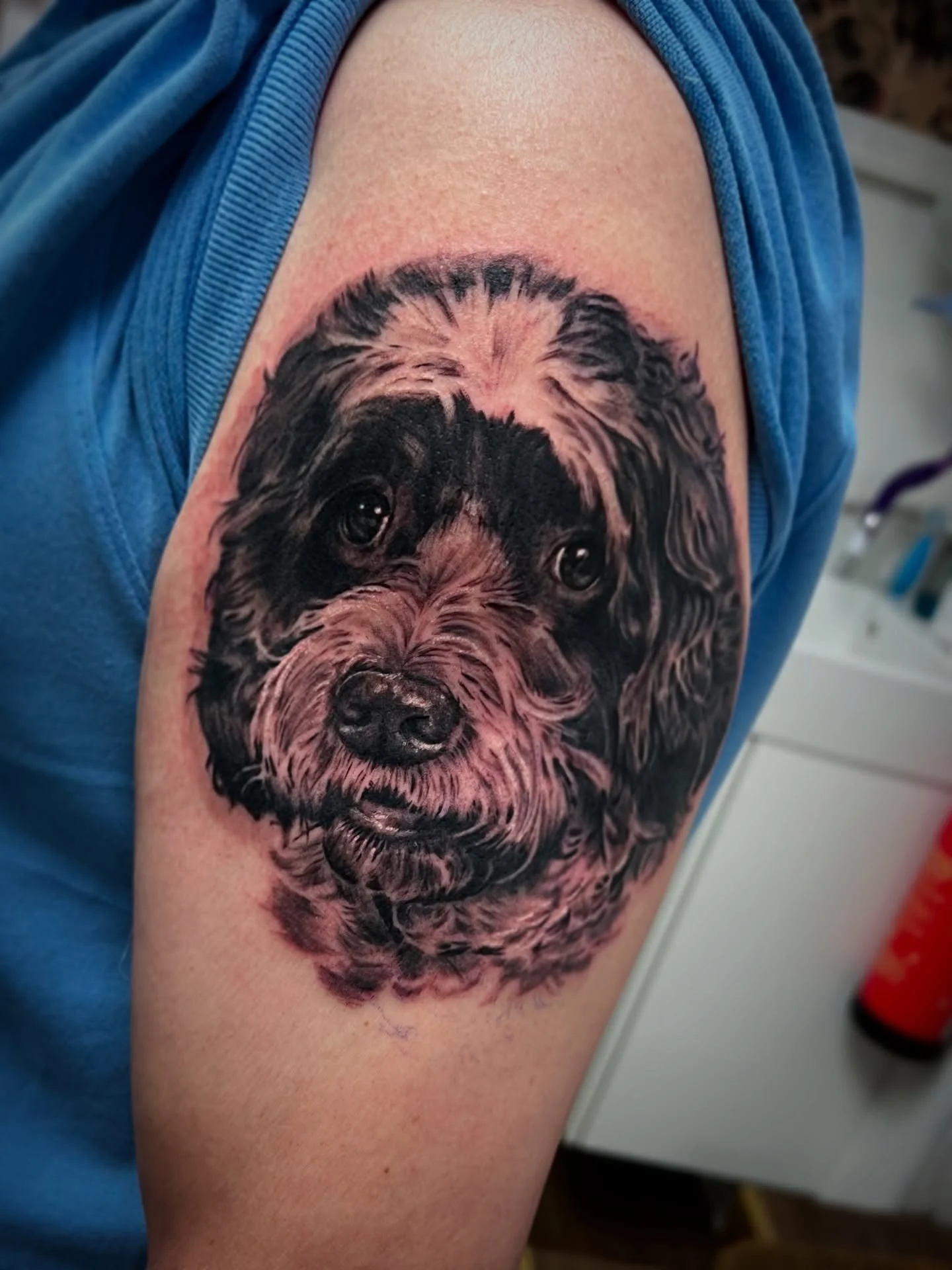 Man&rsquo;s best friend. Done recently by @jakeaquilinatattoo 

‼️BOOKINGS AVAILABLE‼️
If you&rsquo;d like to get something done get in touch and we&rsquo;ll make it happen📱📧📞🤙

@eyeforink 
👁4️⃣💧 
#dogtattoo #dogportrait #tattoo #tattoos #tatto