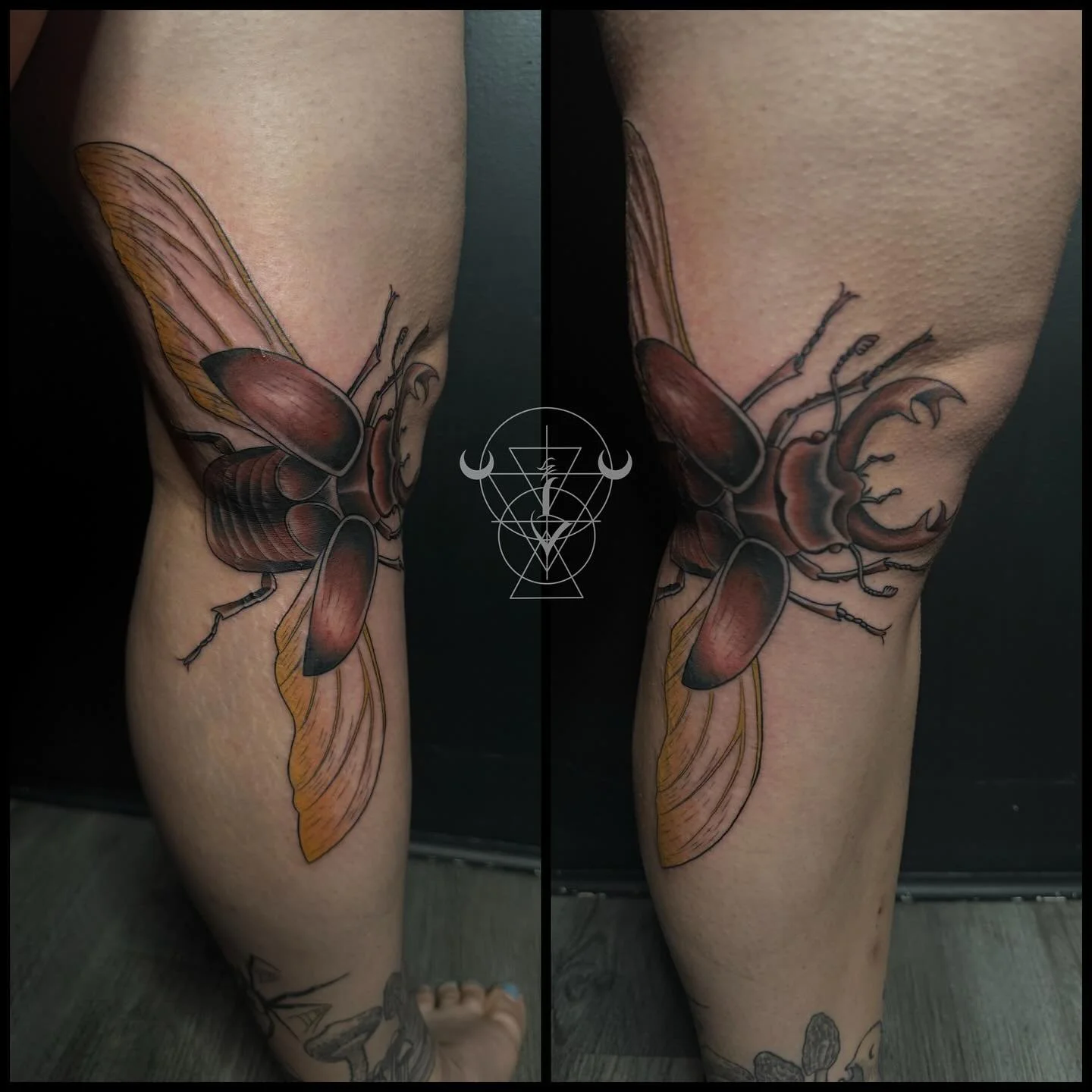 This was definitely a fun piece! Video down below of the process 🥰

#tattoo #tattoos #tattooed #ink #tattooartists #beetle #philadelphia #sellersville