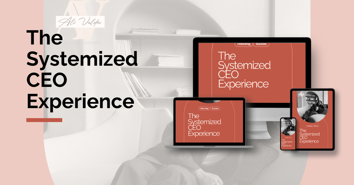 The Systemized CEO Experience