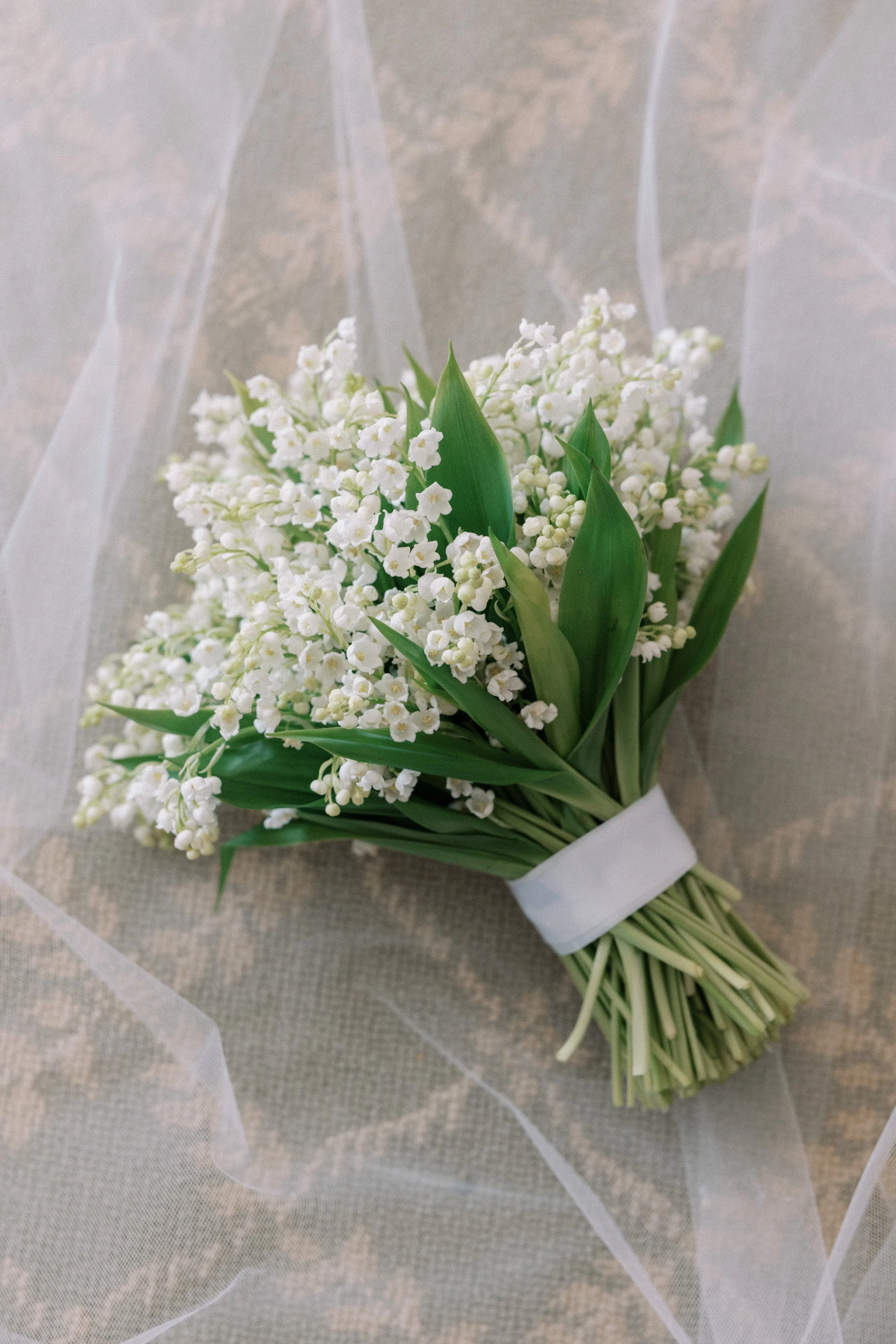 Lily+Mike_Preview-6.jpg
