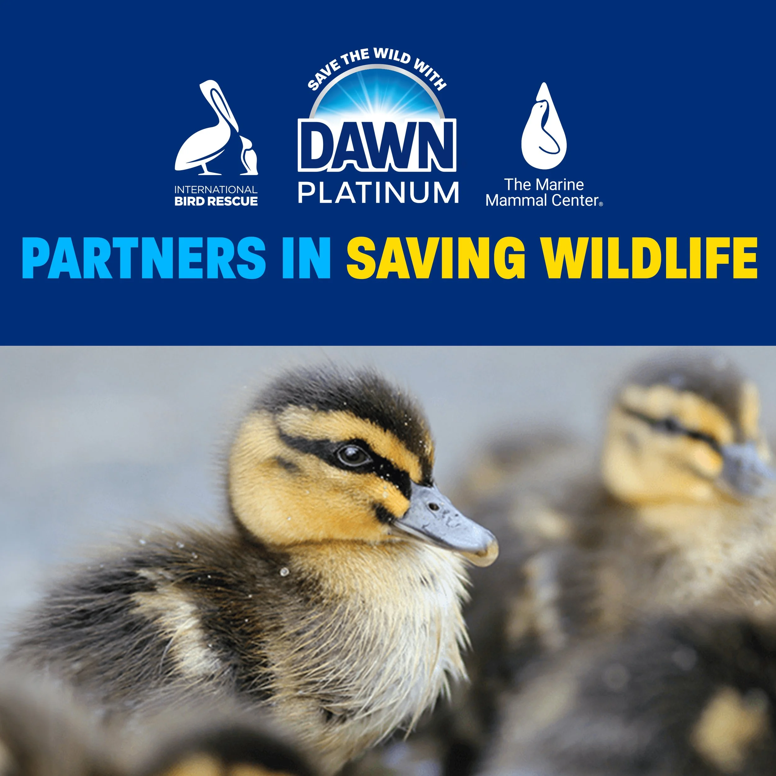 Dawn_Jigsaw_Wildlife_V1.jpg