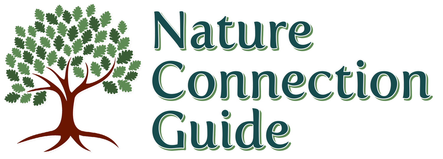 Nature Connection Guide