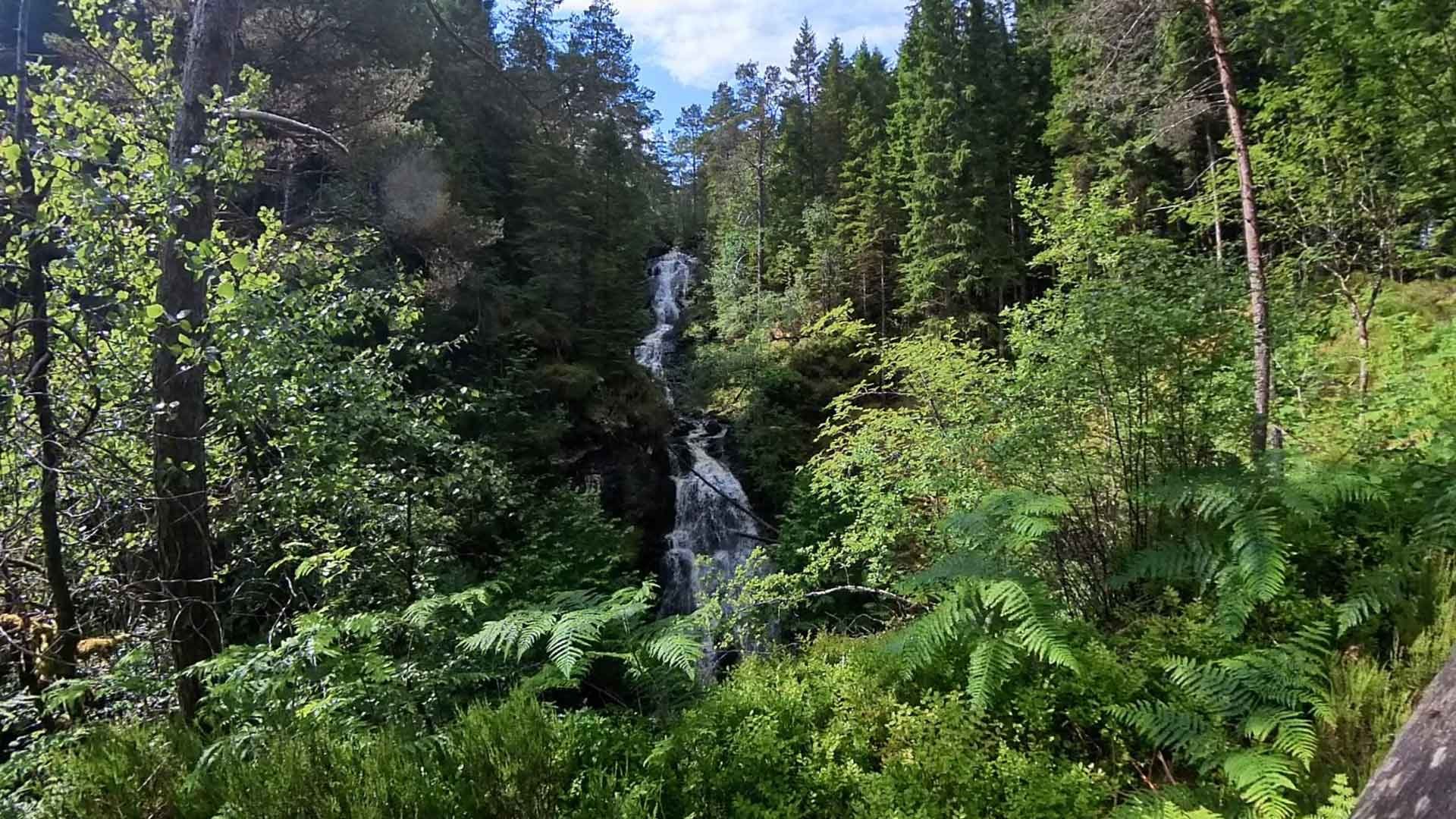 GlengarryHeader.jpg