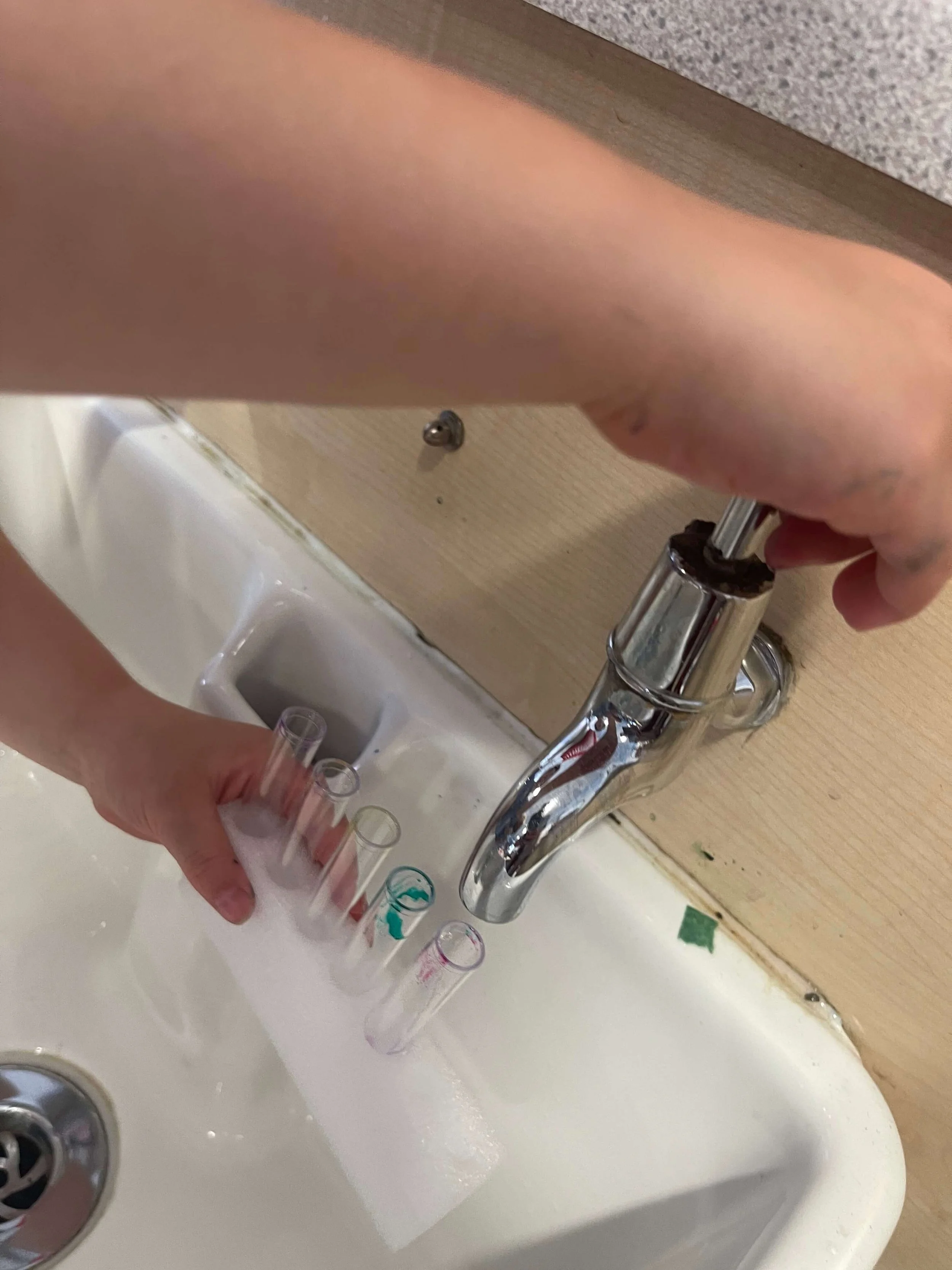 IMG_9181.jpeg