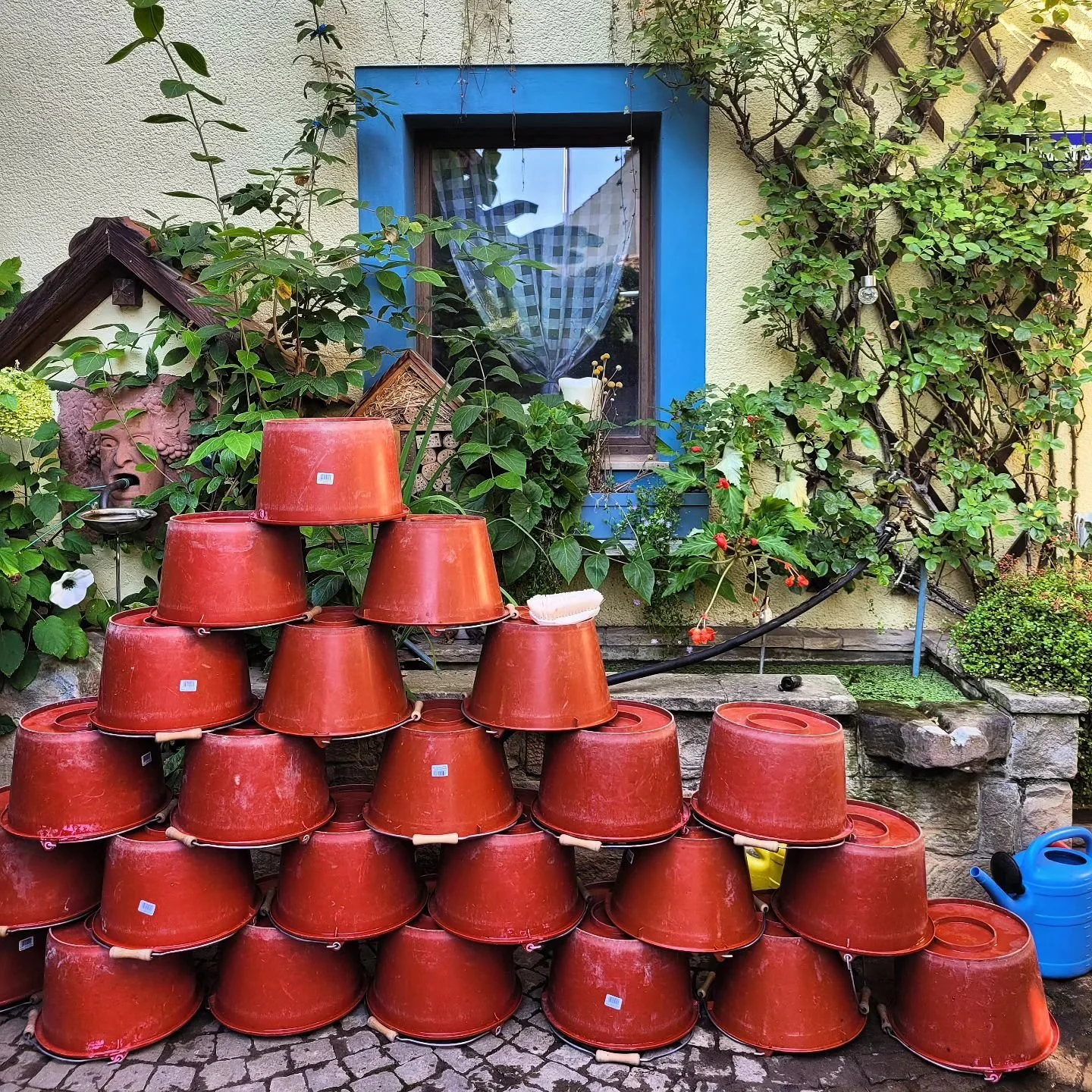 Nach der Lese ist vor der Lese...

#handlese 
#putzenmusssein
#winemakerslife