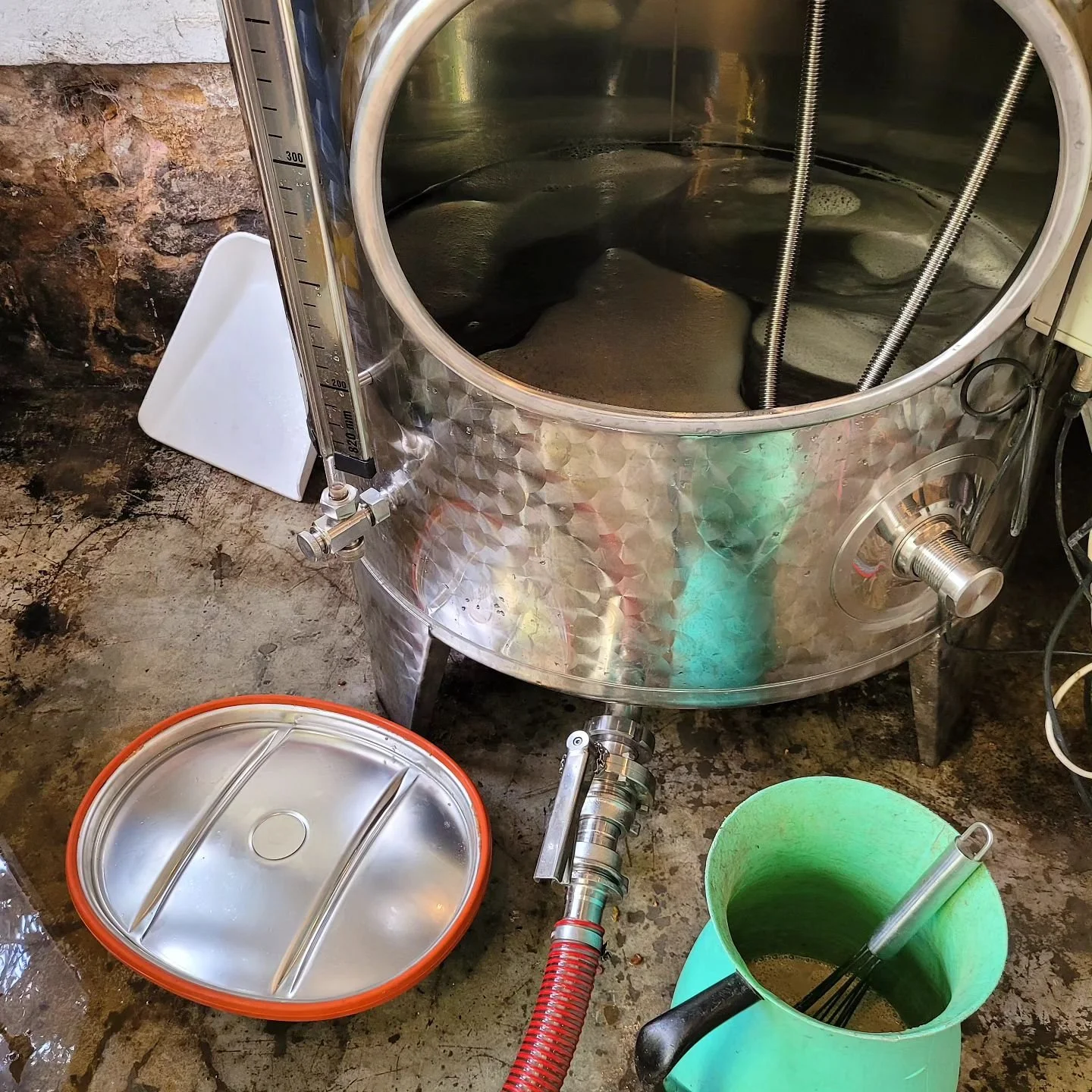 Unser Riesling, der feinherb ausgebaut wird, ist nun auch gelesen, abgestochen und mit Hefe angeimpft. Damit sind wir mit der Weinlese 2024 durch! 

#weinlese 
#riesling 
#badd&uuml;rkheim